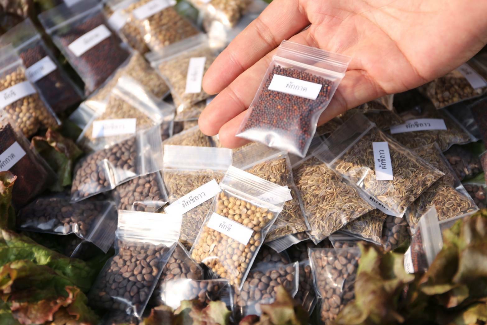 @พช.น่าน จัดมหกรรมแสดงผลความสำเร็จการสร้างวัฒนธรรมปลูกพืชผักประจำครัวเรือน เรื่องดี ๆ ที่ต้องบอก