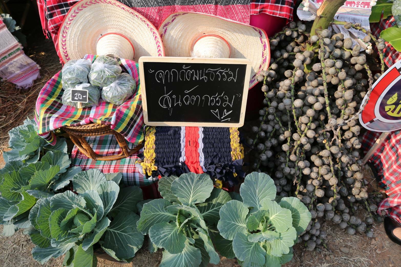 @พช.น่าน จัดมหกรรมแสดงผลความสำเร็จการสร้างวัฒนธรรมปลูกพืชผักประจำครัวเรือน เรื่องดี ๆ ที่ต้องบอก