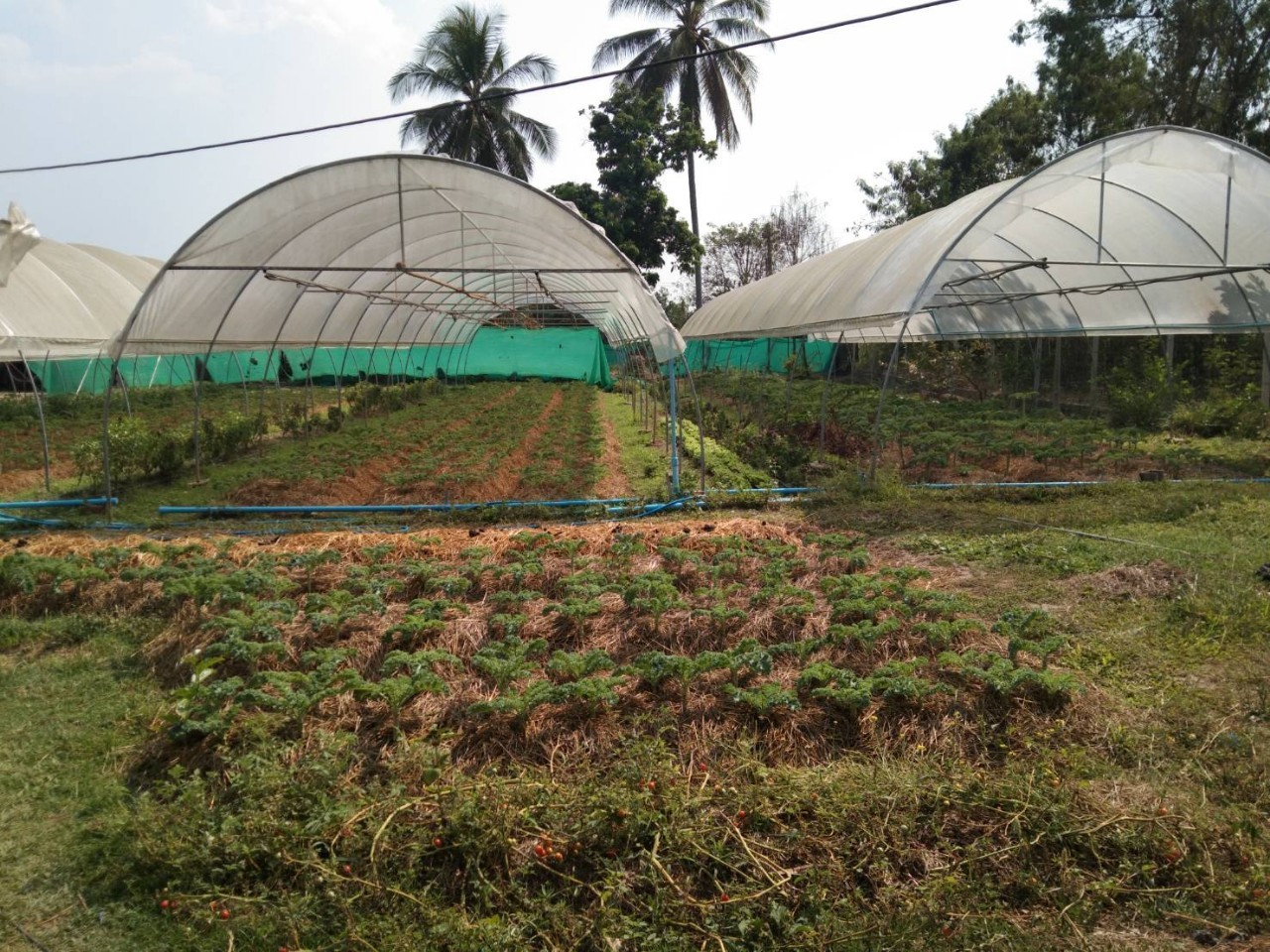 @น่าน : นายอาทร พิมชะนก ผู้ตรวจราชการกรมฯ ติดตามการขับเคลื่อนงานพัฒนาชุมชน ในพื้นที่ จ.น่าน