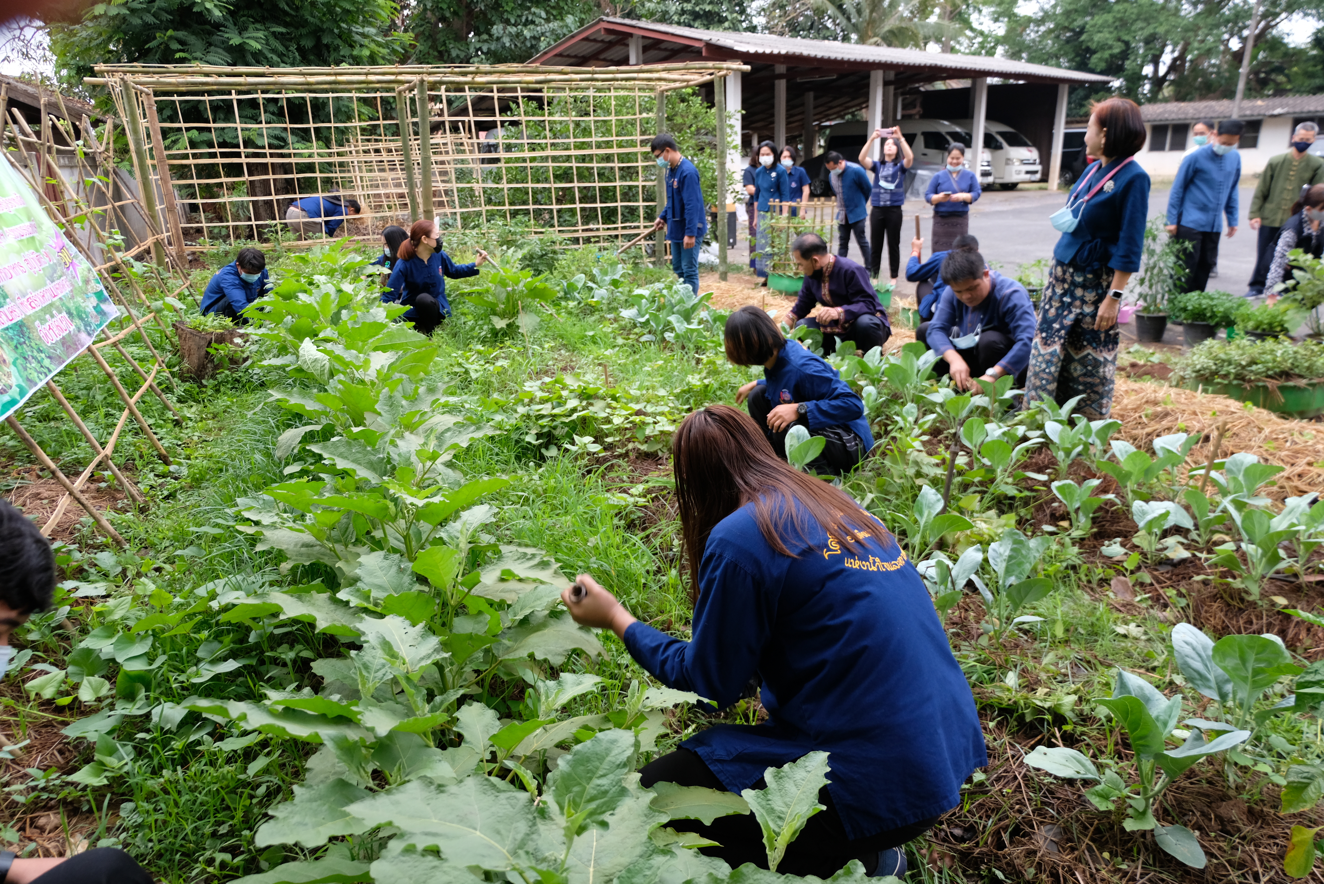 ผู้ว่าราชการจังหวัดน่านพร้อมนายกเหล่ากาชาดจังหวัดน่าน ร่วมกิจกรรมปลูกผักสวนครัว สร้างความมั่นคงทางอาหาร