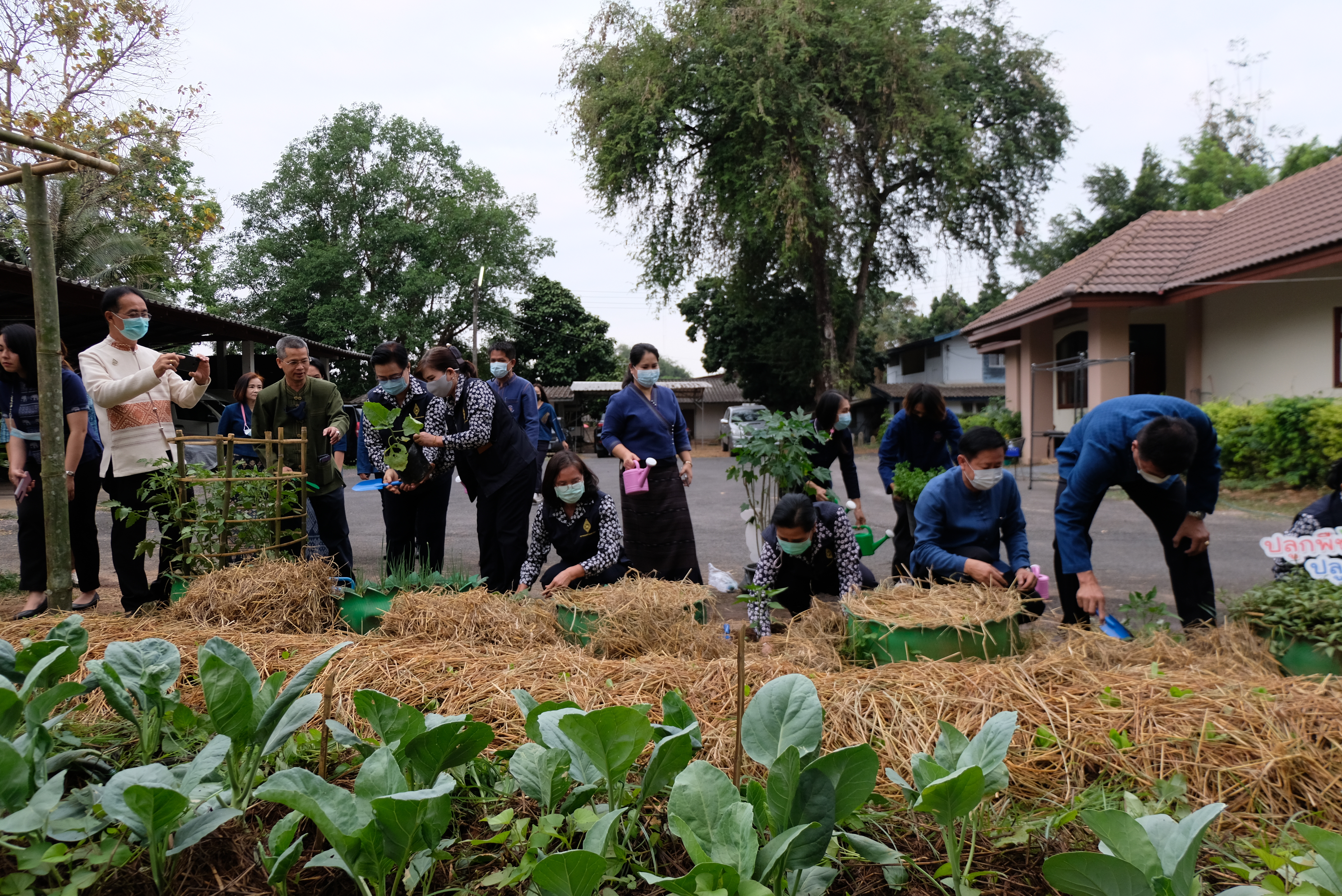 ผู้ว่าราชการจังหวัดน่านพร้อมนายกเหล่ากาชาดจังหวัดน่าน ร่วมกิจกรรมปลูกผักสวนครัว สร้างความมั่นคงทางอาหาร