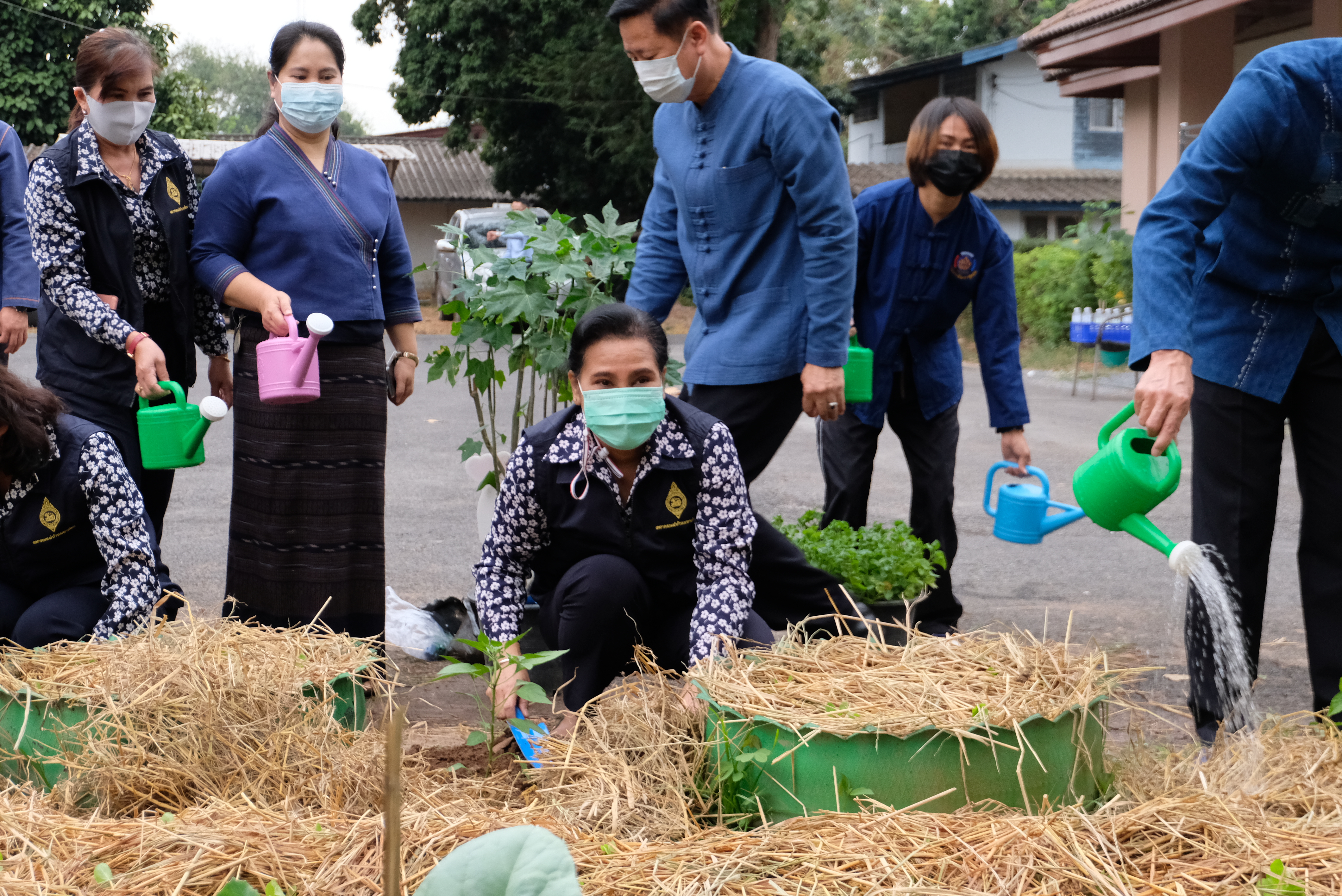 ผู้ว่าราชการจังหวัดน่านพร้อมนายกเหล่ากาชาดจังหวัดน่าน ร่วมกิจกรรมปลูกผักสวนครัว สร้างความมั่นคงทางอาหาร