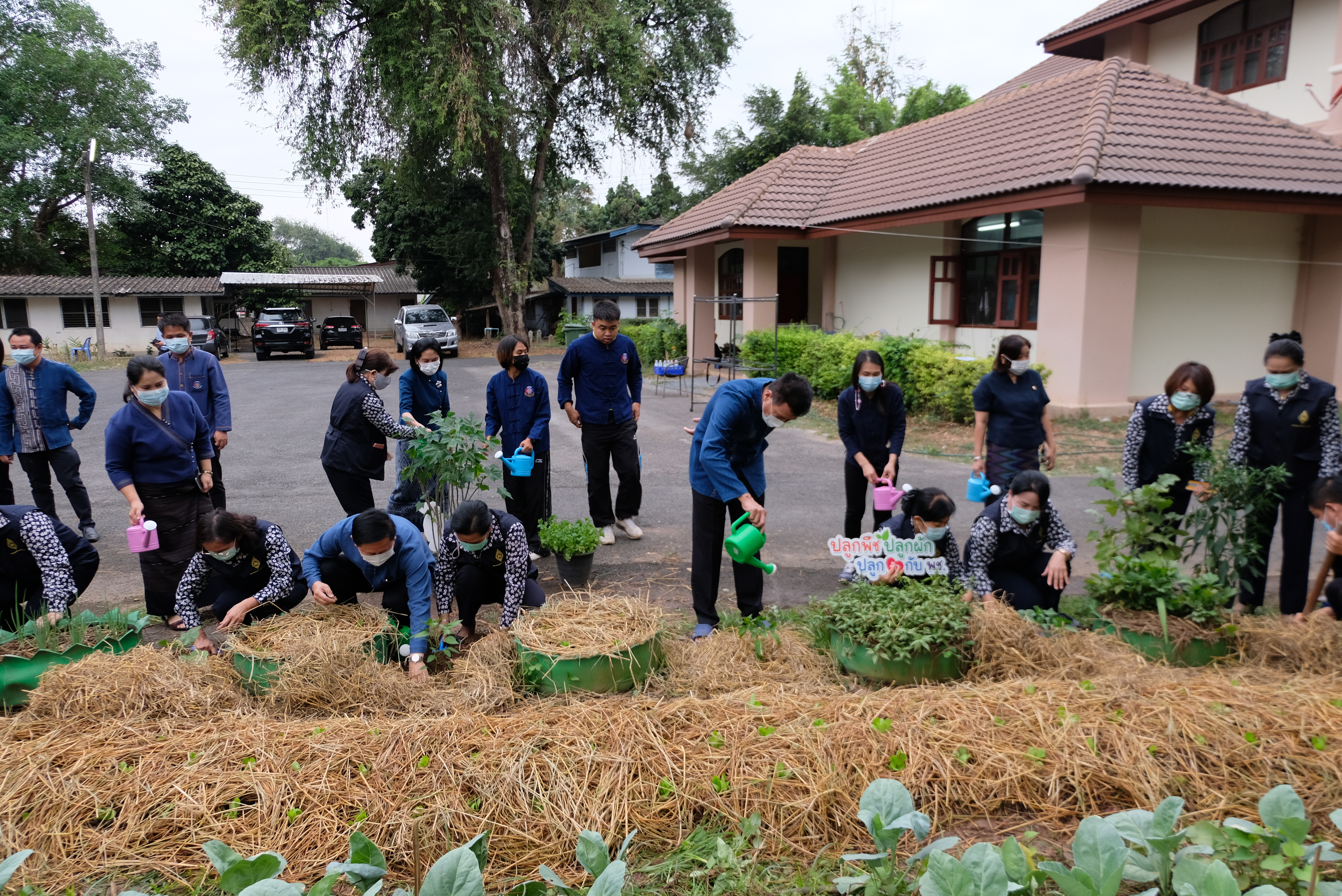 ผู้ว่าราชการจังหวัดน่านพร้อมนายกเหล่ากาชาดจังหวัดน่าน ร่วมกิจกรรมปลูกผักสวนครัว สร้างความมั่นคงทางอาหาร