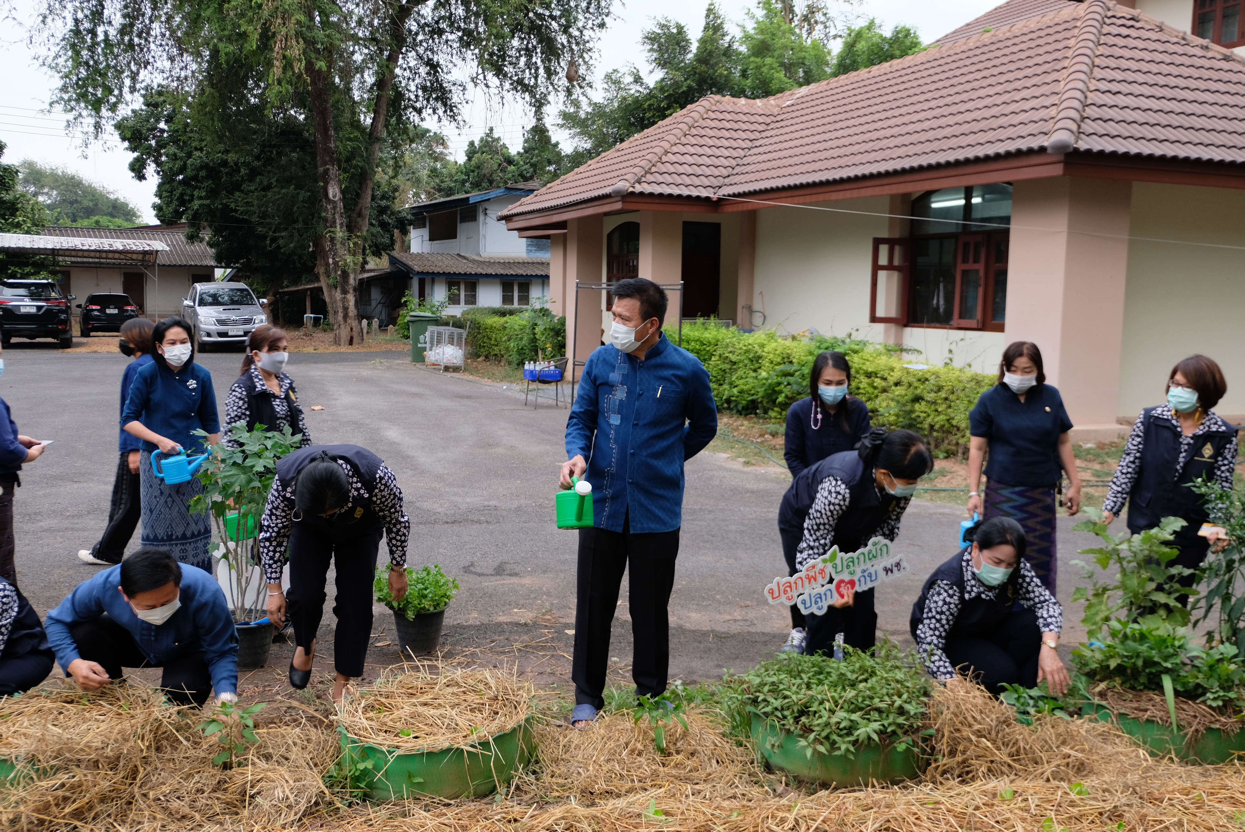 ผู้ว่าราชการจังหวัดน่านพร้อมนายกเหล่ากาชาดจังหวัดน่าน ร่วมกิจกรรมปลูกผักสวนครัว สร้างความมั่นคงทางอาหาร