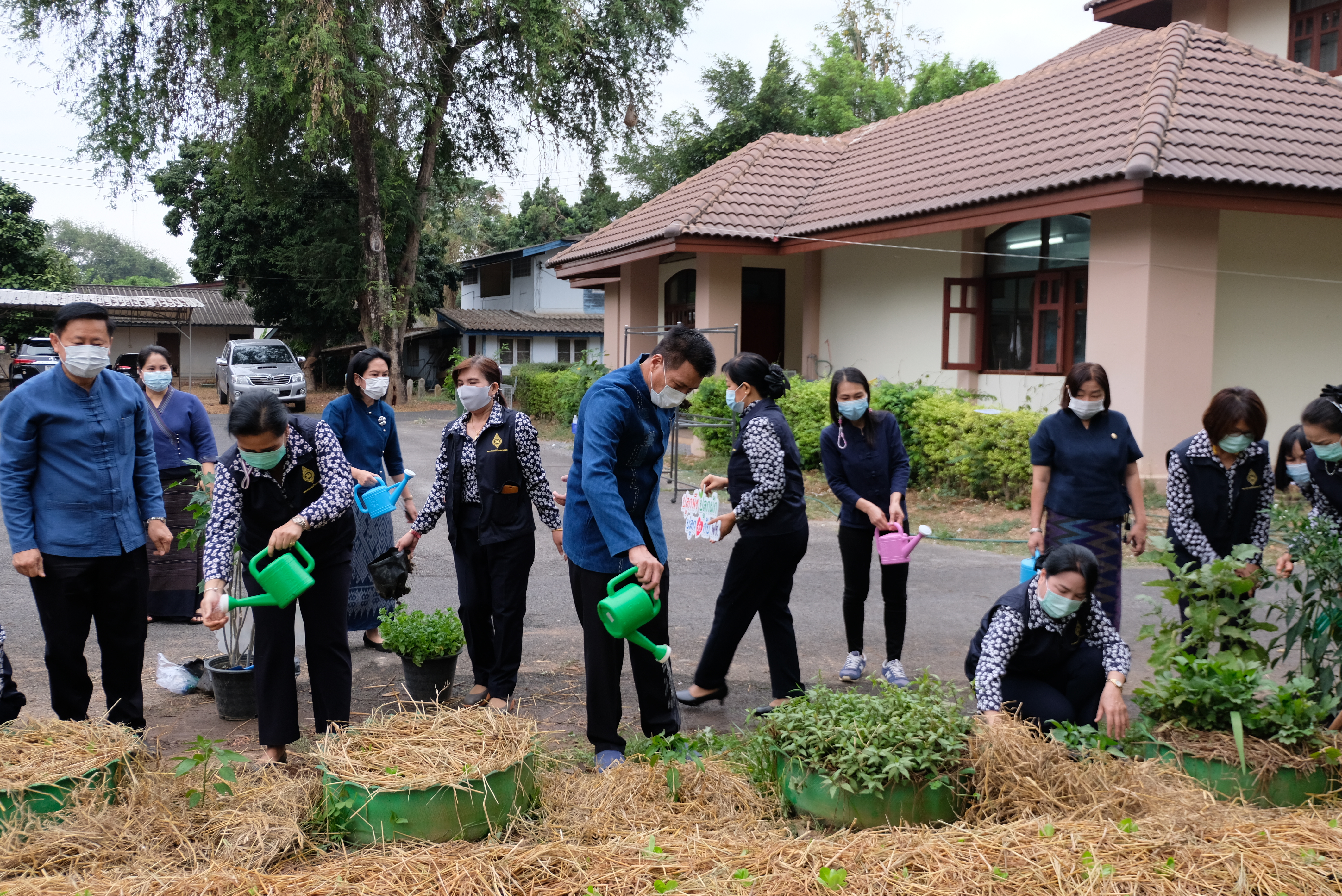 ผู้ว่าราชการจังหวัดน่านพร้อมนายกเหล่ากาชาดจังหวัดน่าน ร่วมกิจกรรมปลูกผักสวนครัว สร้างความมั่นคงทางอาหาร