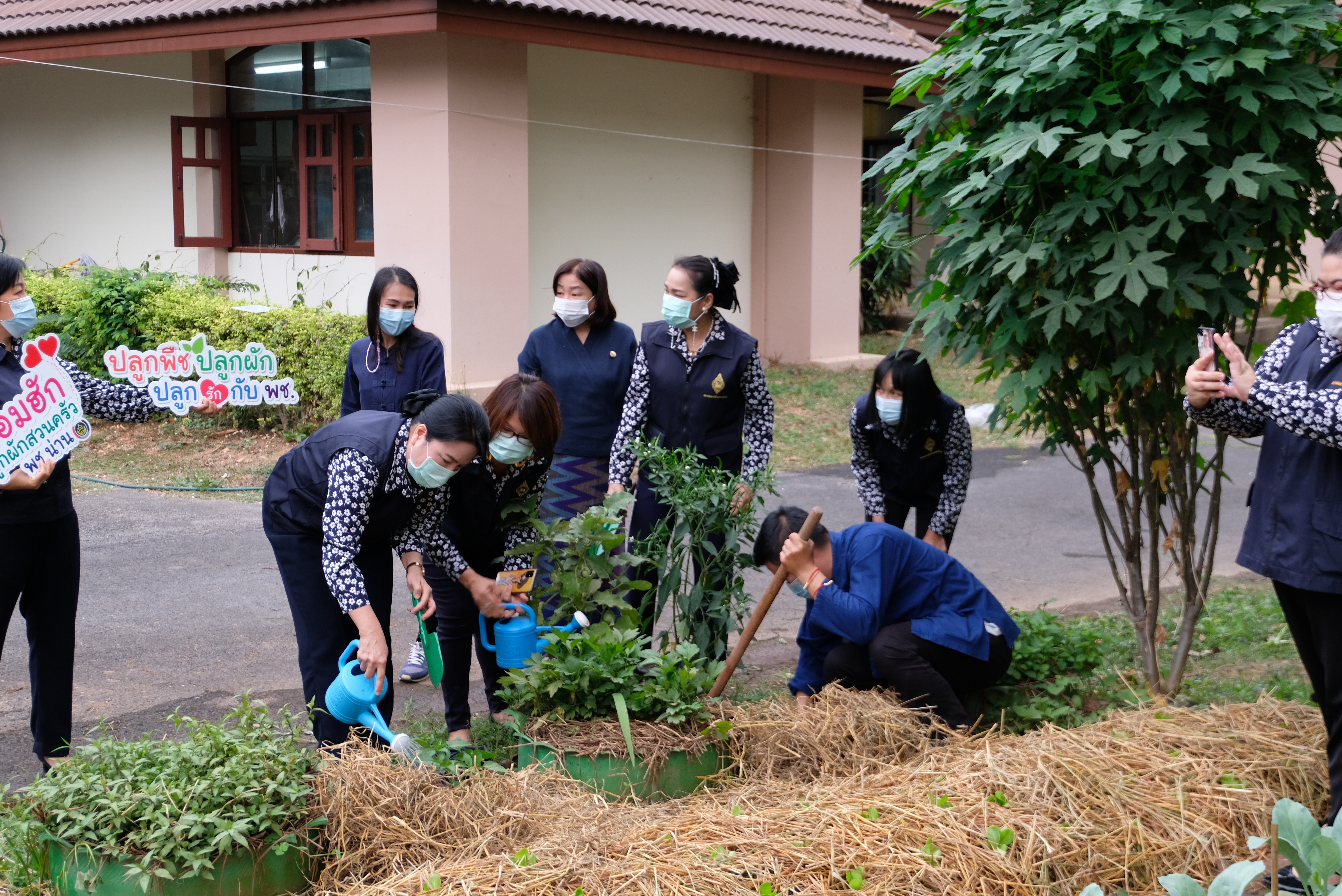 ผู้ว่าราชการจังหวัดน่านพร้อมนายกเหล่ากาชาดจังหวัดน่าน ร่วมกิจกรรมปลูกผักสวนครัว สร้างความมั่นคงทางอาหาร