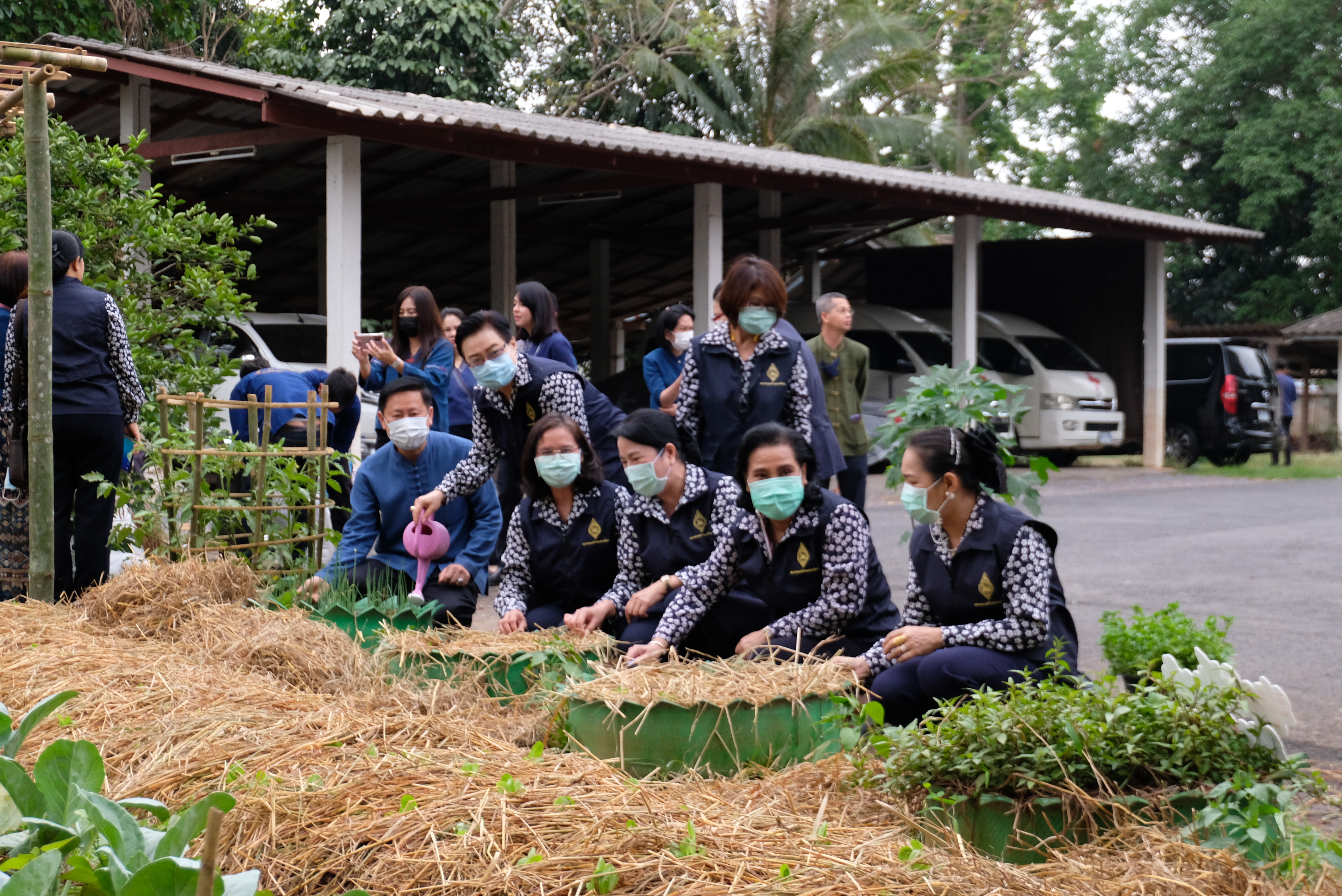 ผู้ว่าราชการจังหวัดน่านพร้อมนายกเหล่ากาชาดจังหวัดน่าน ร่วมกิจกรรมปลูกผักสวนครัว สร้างความมั่นคงทางอาหาร