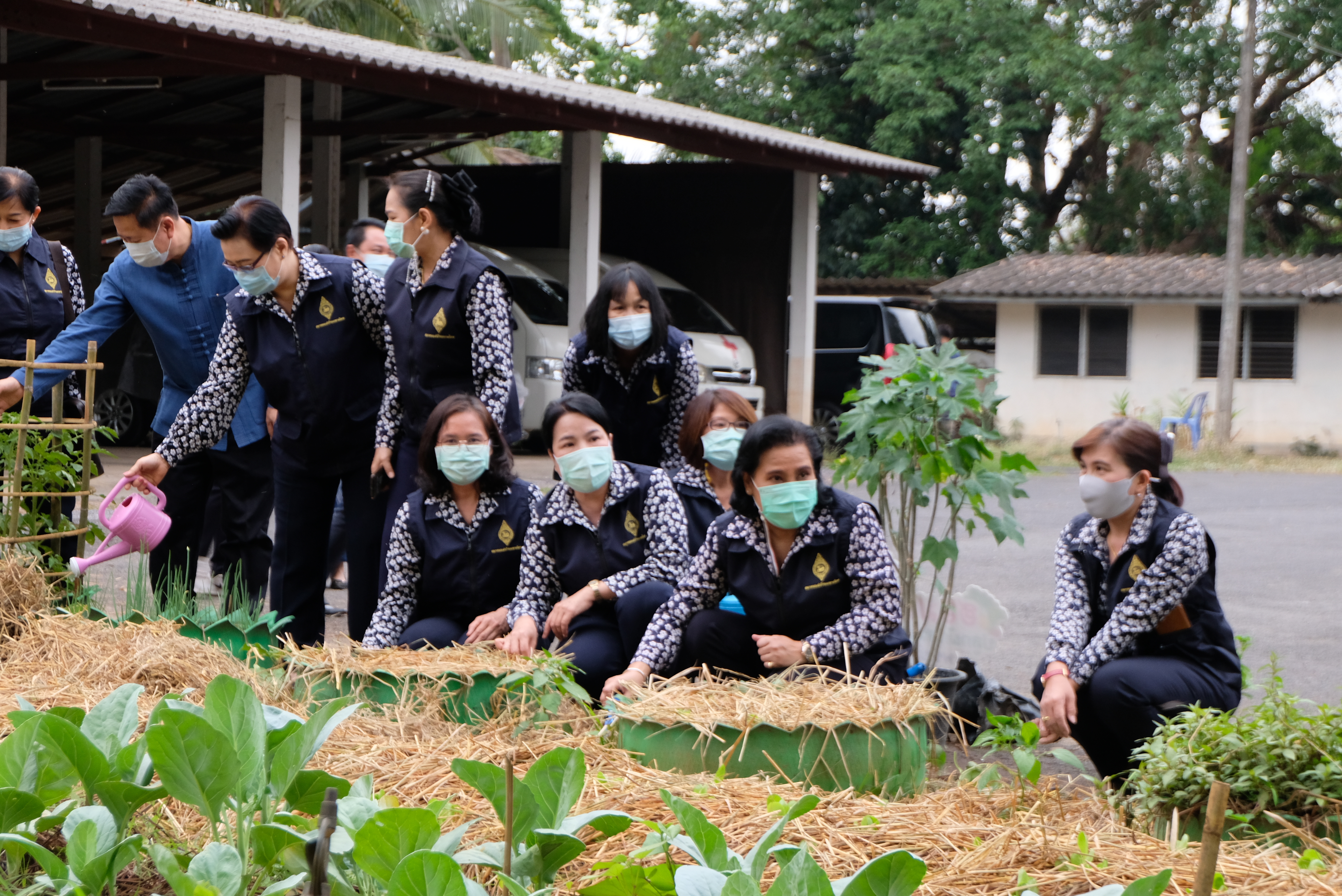 ผู้ว่าราชการจังหวัดน่านพร้อมนายกเหล่ากาชาดจังหวัดน่าน ร่วมกิจกรรมปลูกผักสวนครัว สร้างความมั่นคงทางอาหาร