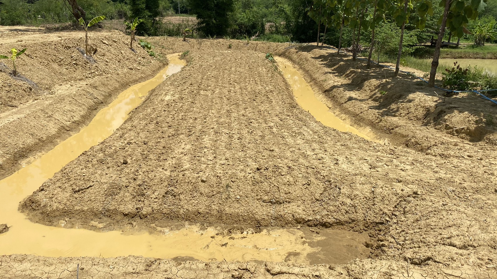 กลุ่มงานสารสนเทศการพัฒนาชุมชน จังหวัดน่าน เยี่ยมชมการดำเนินงาน โครงการ “โคก หนอง นา โมเดล” ระดับ HLM 3 ไร่ ของ นางบุญศร หล้าพรม ม.6 ต.ศรีษะเกษ อ.นาน้อย จ.น่าน