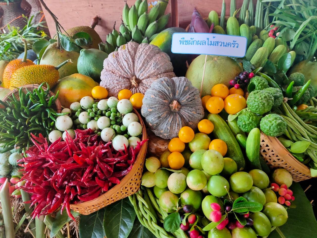 @ พช.น่าน :  คัดสรรกิจกรรมพัฒนาชุมชนดีเด่น ระดับจังหวัด ประจำปี 2564 ประเภทครัวเรือนสัมมาชีพชุมชนตัวอย่าง ดีเด่นระดับจังหวัด