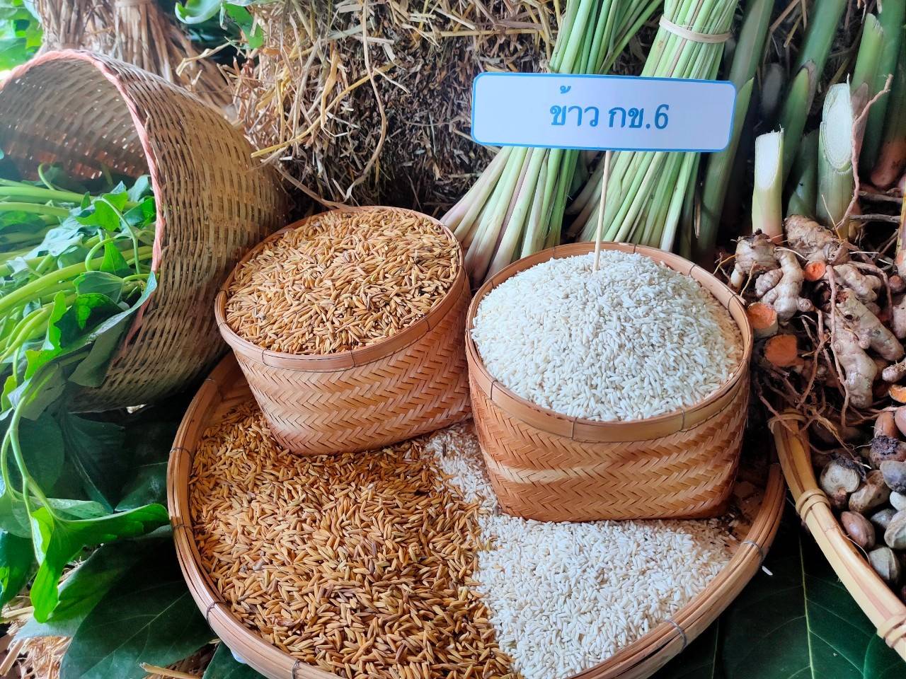 @ พช.น่าน :  คัดสรรกิจกรรมพัฒนาชุมชนดีเด่น ระดับจังหวัด ประจำปี 2564 ประเภทครัวเรือนสัมมาชีพชุมชนตัวอย่าง ดีเด่นระดับจังหวัด