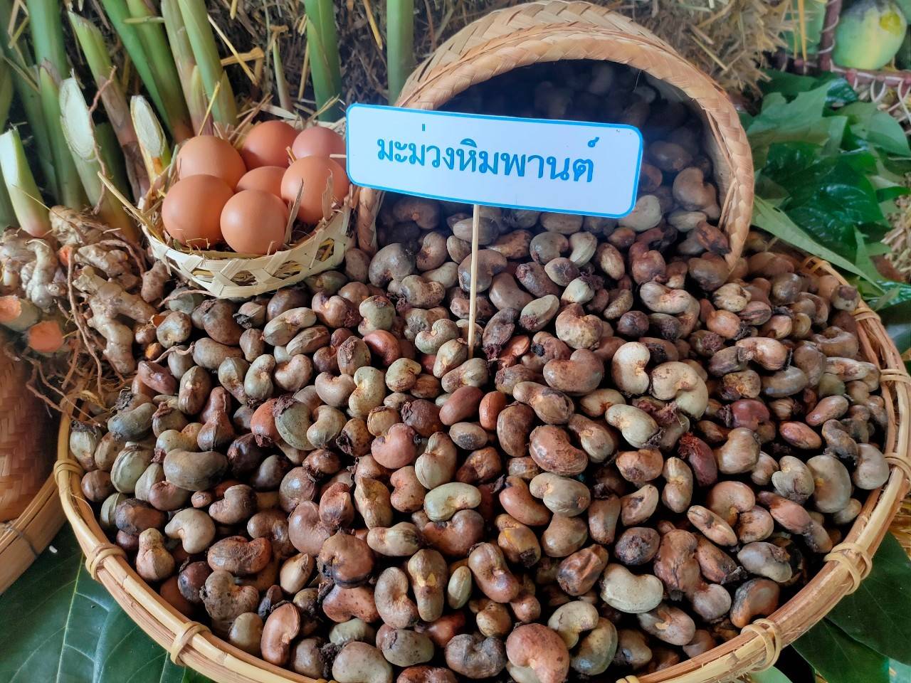 @ พช.น่าน :  คัดสรรกิจกรรมพัฒนาชุมชนดีเด่น ระดับจังหวัด ประจำปี 2564 ประเภทครัวเรือนสัมมาชีพชุมชนตัวอย่าง ดีเด่นระดับจังหวัด