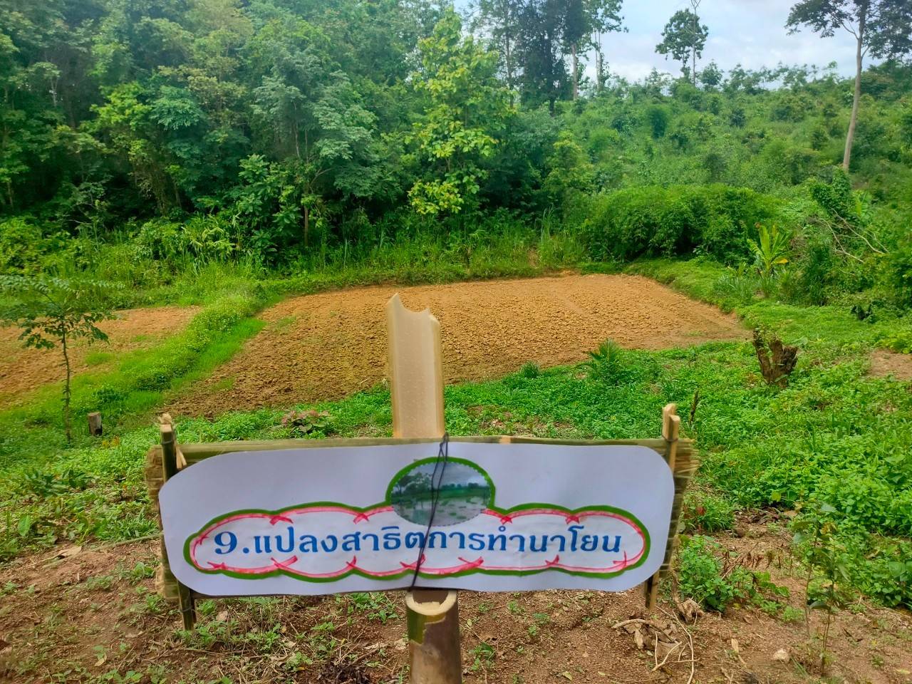 @ พช.น่าน :  คัดสรรกิจกรรมพัฒนาชุมชนดีเด่น ระดับจังหวัด ประจำปี 2564 ประเภทครัวเรือนสัมมาชีพชุมชนตัวอย่าง ดีเด่นระดับจังหวัด