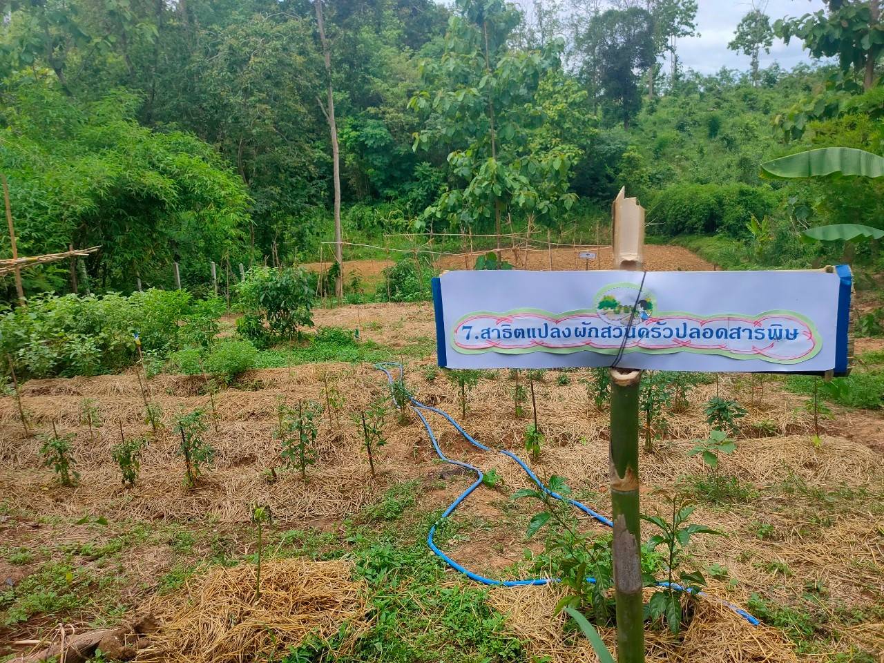 @ พช.น่าน :  คัดสรรกิจกรรมพัฒนาชุมชนดีเด่น ระดับจังหวัด ประจำปี 2564 ประเภทครัวเรือนสัมมาชีพชุมชนตัวอย่าง ดีเด่นระดับจังหวัด