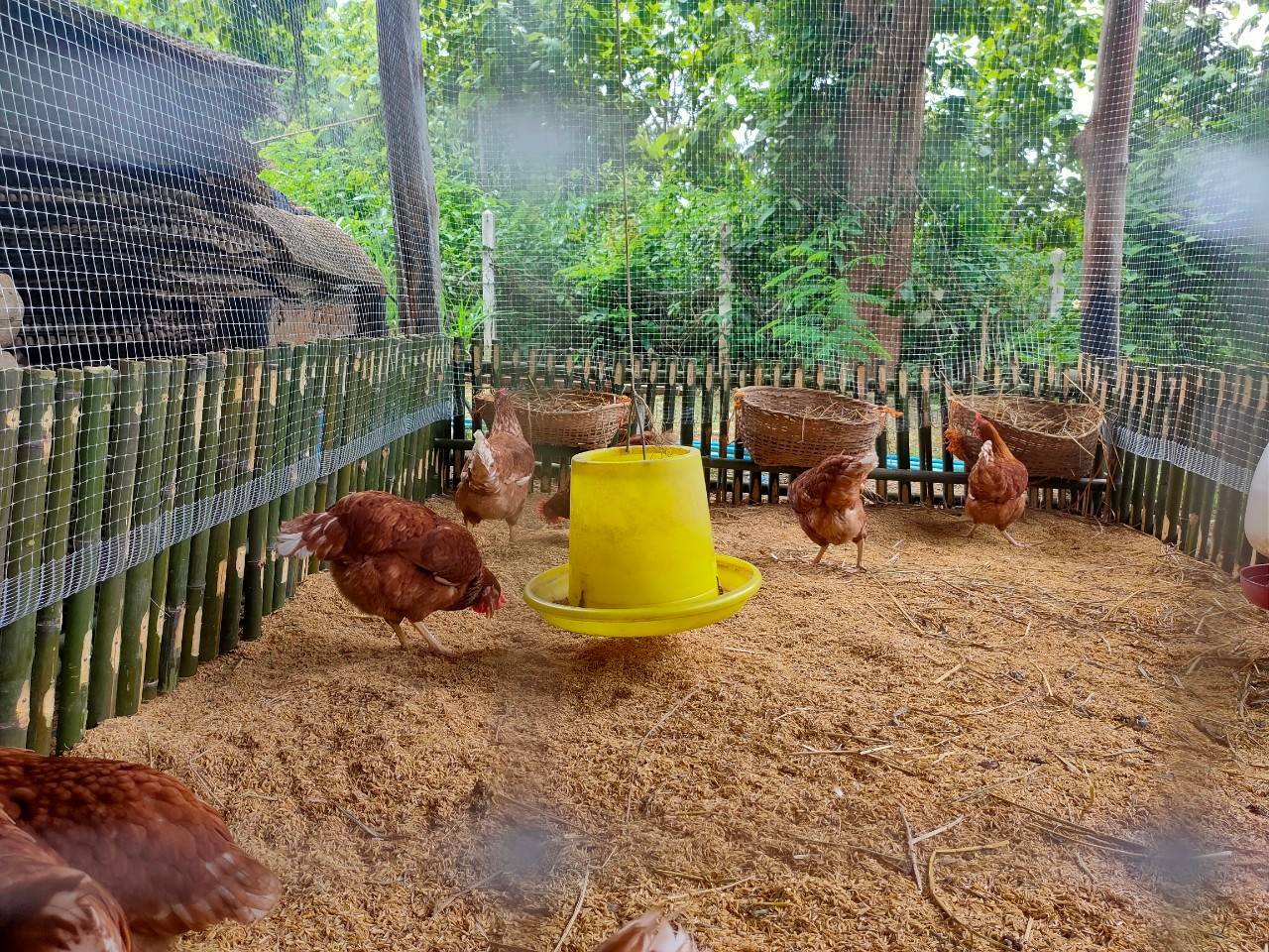 @ พช.น่าน :  คัดสรรกิจกรรมพัฒนาชุมชนดีเด่น ระดับจังหวัด ประจำปี 2564 ประเภทครัวเรือนสัมมาชีพชุมชนตัวอย่าง ดีเด่นระดับจังหวัด