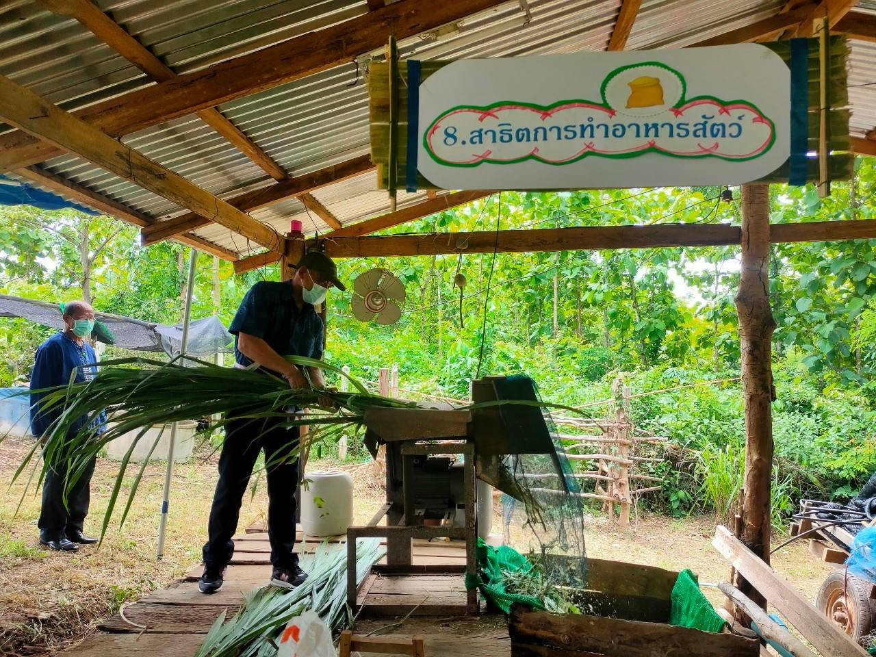 @ พช.น่าน :  คัดสรรกิจกรรมพัฒนาชุมชนดีเด่น ระดับจังหวัด ประจำปี 2564 ประเภทครัวเรือนสัมมาชีพชุมชนตัวอย่าง ดีเด่นระดับจังหวัด