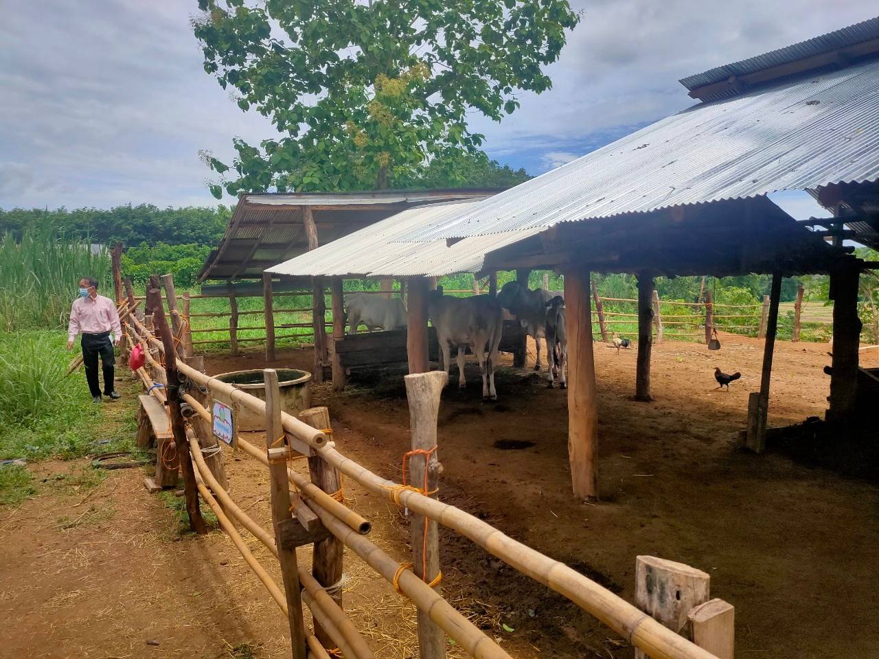 @ พช.น่าน :  คัดสรรกิจกรรมพัฒนาชุมชนดีเด่น ระดับจังหวัด ประจำปี 2564 ประเภทครัวเรือนสัมมาชีพชุมชนตัวอย่าง ดีเด่นระดับจังหวัด