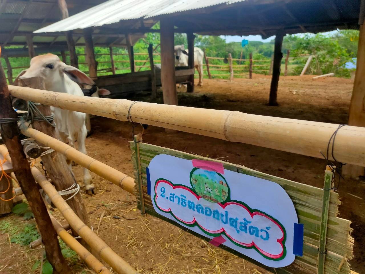 @ พช.น่าน :  คัดสรรกิจกรรมพัฒนาชุมชนดีเด่น ระดับจังหวัด ประจำปี 2564 ประเภทครัวเรือนสัมมาชีพชุมชนตัวอย่าง ดีเด่นระดับจังหวัด