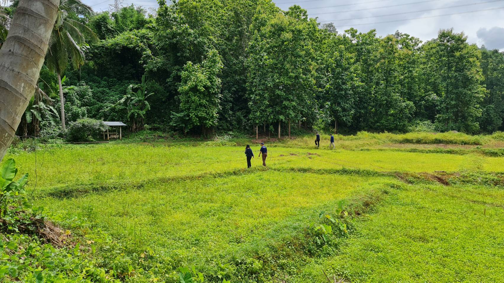 ?@ พช.น่าน :  ติดตามโครงการพัฒนาพื้นที่ต้นแบบการพัฒนาคุณภาพชีวิตตามหลักทฤษฎีใหม่ประยุกต์สู่ “โคก หนอง นา โมเดล” ในเขตอำเภอสองแคว