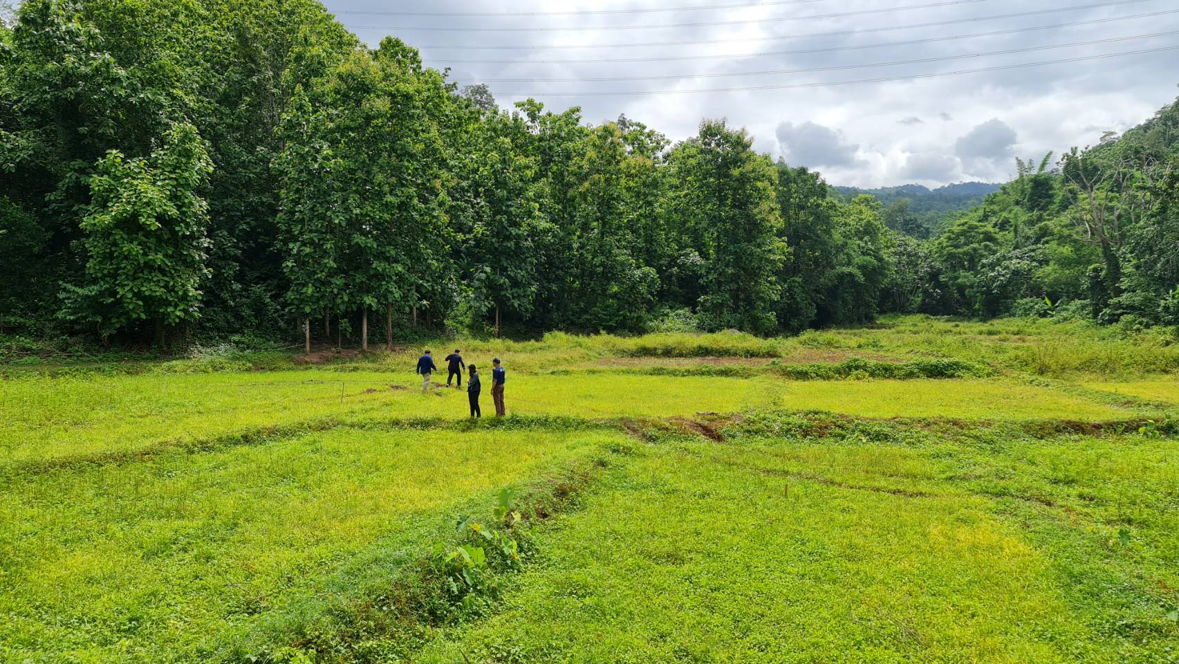 ?@ พช.น่าน :  ติดตามโครงการพัฒนาพื้นที่ต้นแบบการพัฒนาคุณภาพชีวิตตามหลักทฤษฎีใหม่ประยุกต์สู่ “โคก หนอง นา โมเดล” ในเขตอำเภอสองแคว