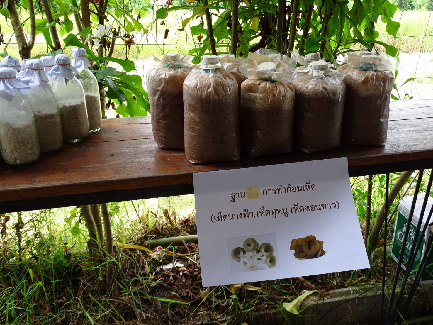 พช.น่าน :  คัดสรรกิจกรรมพัฒนาชุมชนดีเด่น ระดับจังหวัด ประจำปี 2564 ประเภทครัวเรือนสัมมาชีพชุมชนตัวอย่าง ดีเด่นระดับจังหวัด