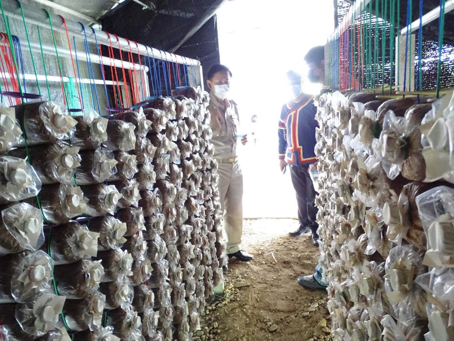 พช.น่าน :  คัดสรรกิจกรรมพัฒนาชุมชนดีเด่น ระดับจังหวัด ประจำปี 2564 ประเภทครัวเรือนสัมมาชีพชุมชนตัวอย่าง ดีเด่นระดับจังหวัด