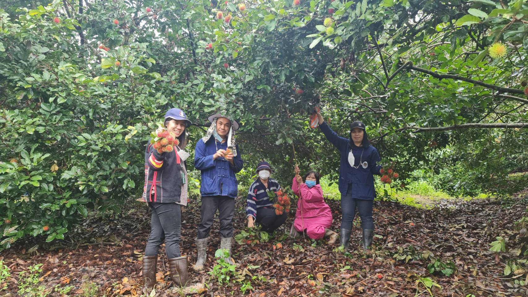 @พัฒนาชุมชนจังหวัดน่านเตรียมความพร้อมกิจกรรม”เอามื้อสามัคคีเฉลิมพระเกียรติฯ” ?