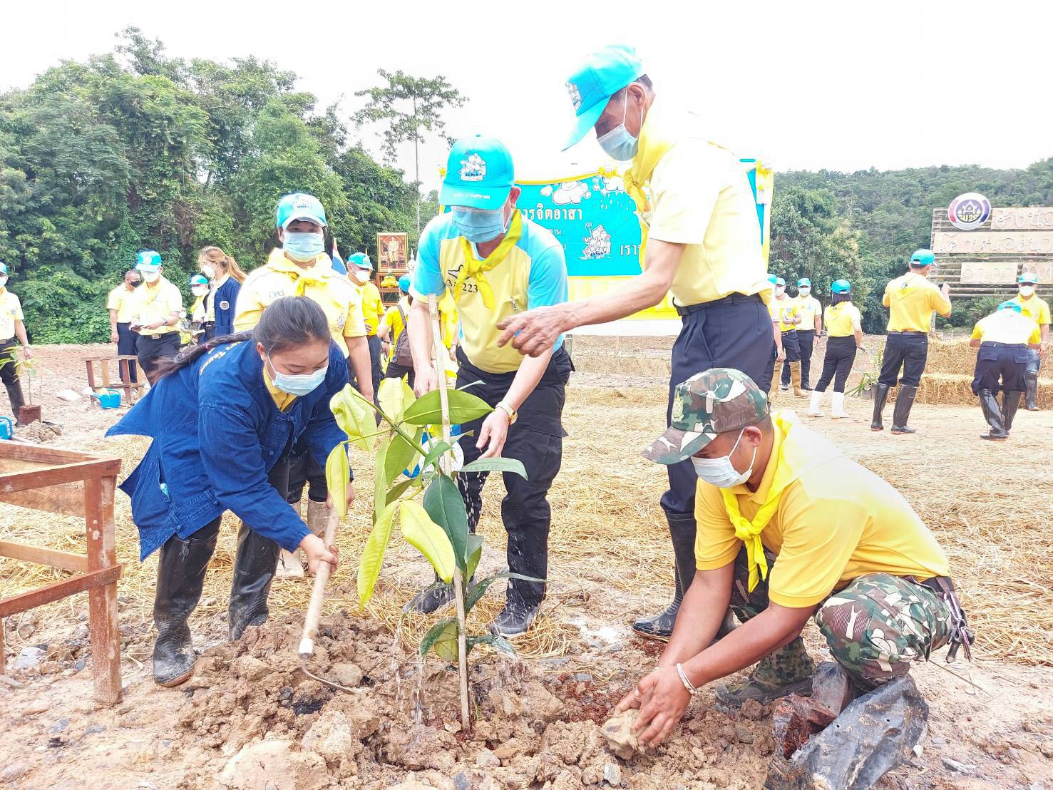 พช.น่าน@ จังหวัดน่าน Kick off กิจกรรม “จิตอาสาพัฒนาชุมชนเอามื้อสามัคคี” เฉลิมพระเกียรติ พระบาทสมเด็จพระเจ้าอยู่หัว เนื่องในโอกาสวันเฉลิมพระชนมพรรษา 28 กรกฎาคม 2564