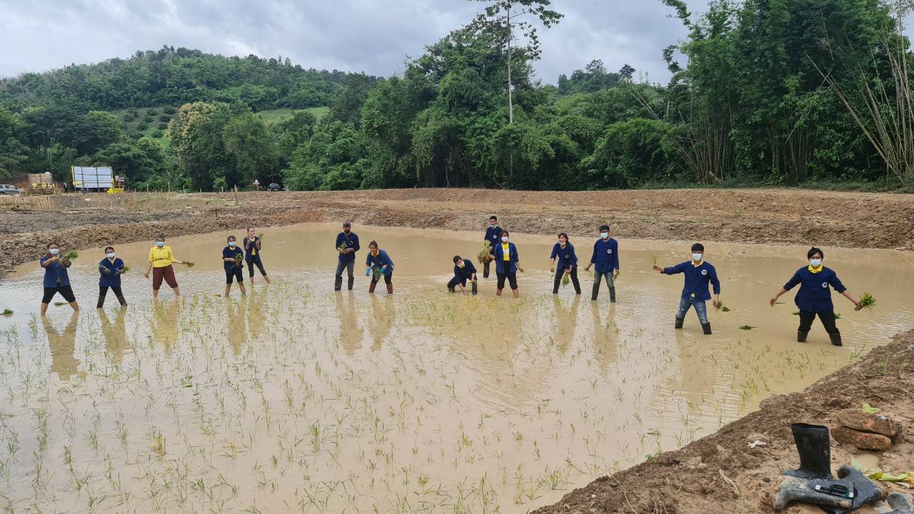 พช.น่าน@ จังหวัดน่าน Kick off กิจกรรม “จิตอาสาพัฒนาชุมชนเอามื้อสามัคคี” เฉลิมพระเกียรติ พระบาทสมเด็จพระเจ้าอยู่หัว เนื่องในโอกาสวันเฉลิมพระชนมพรรษา 28 กรกฎาคม 2564