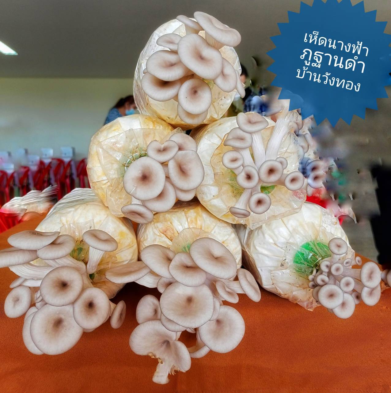 พช.น่าน ดำเนินโครงการขับเคลื่อนยุทธศาสตร์กองทุนพัฒนาบทบาทสตรี กิจกรรมการประชุมเชิงปฏิบัติการเพิ่มศักยภาพแก่กลุ่มสมาชิกกองทุนพัฒนาบทบาทสตรี ด้านการส่งเสริมช่องทางการตลาดออนไลน์ เพื่อเพิ่มรายได้และลดความเสี่ยงหนี้ค้างชำระ