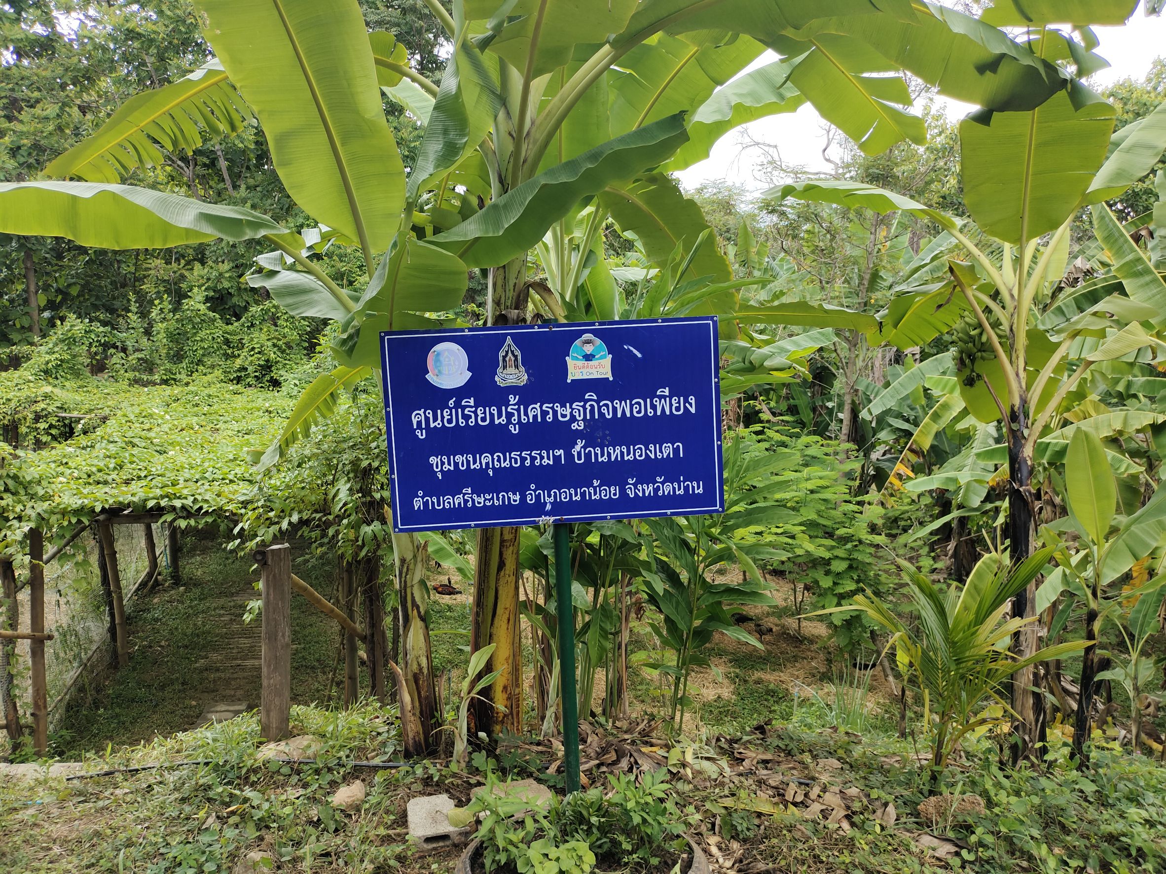 ? พช.น่าน :  คัดสรรกิจกรรมพัฒนาชุมชนดีเด่นระดับจังหวัด ตามโครงการคัดสรรกิจกรรมพัฒนาชุมชนดีเด่น ประจำปี 2564 อำเภอนาน้อย จังหวัดน่าน