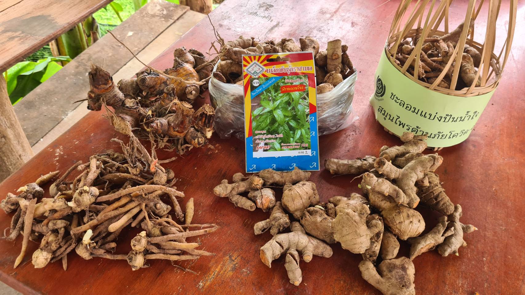 พัฒนาชุมชนอำเภอเฉลิมพระเกียรติ ขับเคลื่อน “ทุกครัวเรือน คือ คลังอาหาร ทุกหมู่บ้าน คือ ศูนย์แบ่งปัน”