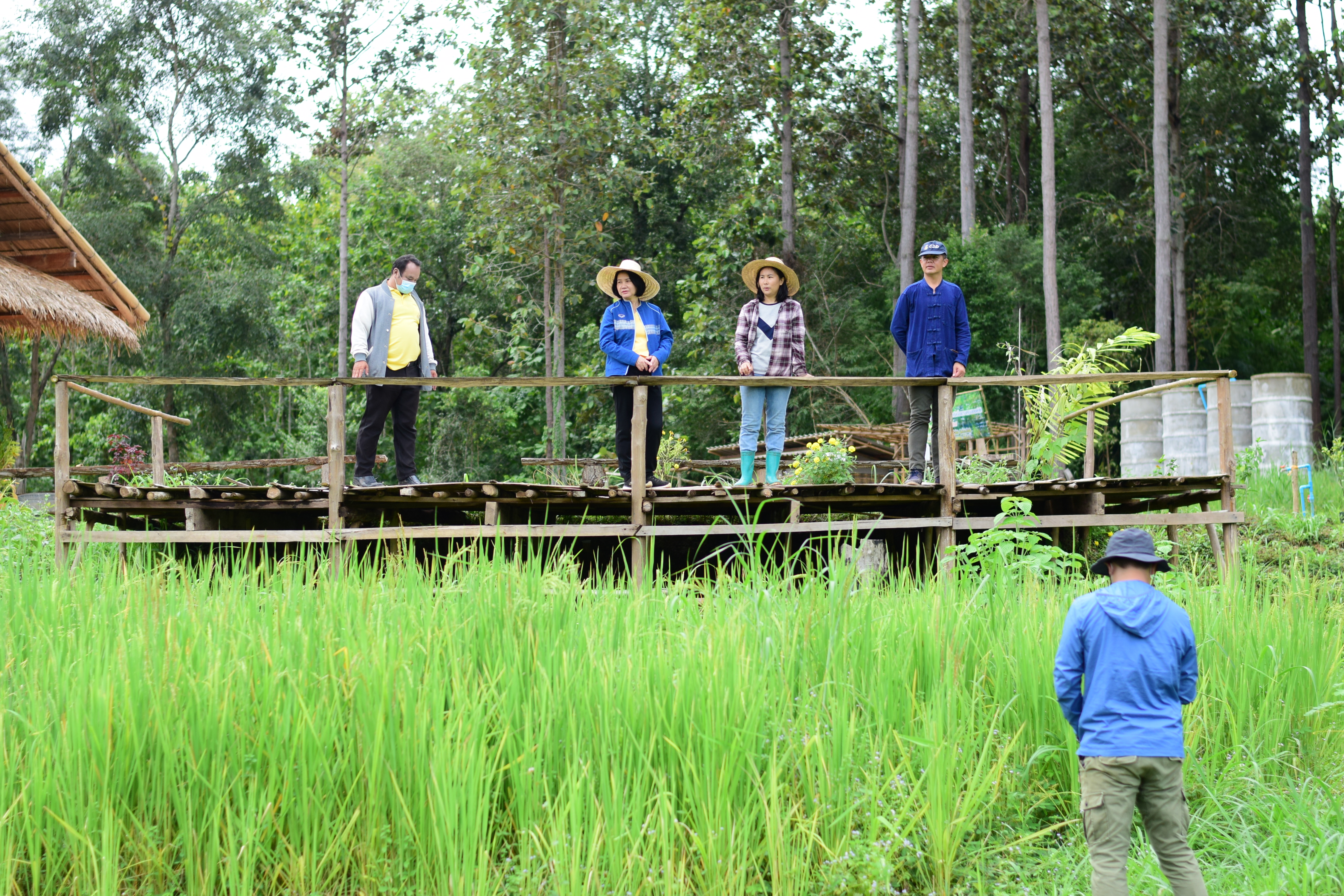 @ที่นี่เมืองน่าน@ พช.น่าน ติดตามการดำเนินงานโครงการพัฒนาพื้นที่ต้นแบบการพัฒนาคุณภาพชีวิตตามหลักทฤษฎีใหม่ ประยุกต์สู่ “โคก หนอง นา โมเดล” การสร้างภาพลักษณ์กรมการพัฒนาชุมชนด้วยการประชาสัมพันธ์ผ่านสื่อออนไลน์