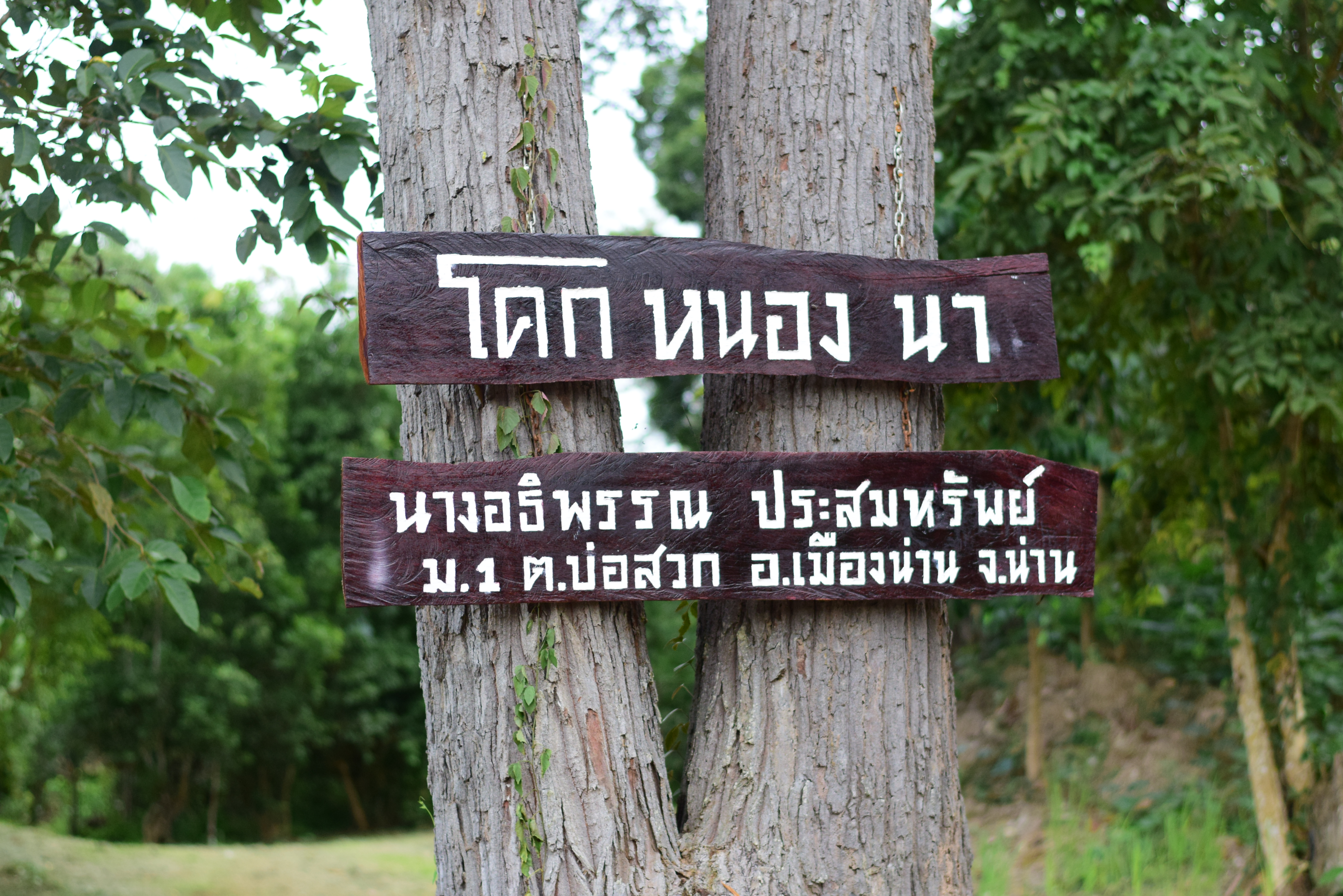 @ที่นี่เมืองน่าน@ พช.น่าน ติดตามการดำเนินงานโครงการพัฒนาพื้นที่ต้นแบบการพัฒนาคุณภาพชีวิตตามหลักทฤษฎีใหม่ ประยุกต์สู่โคก หนอง นา โมเดล อำเภอเมืองน่าน