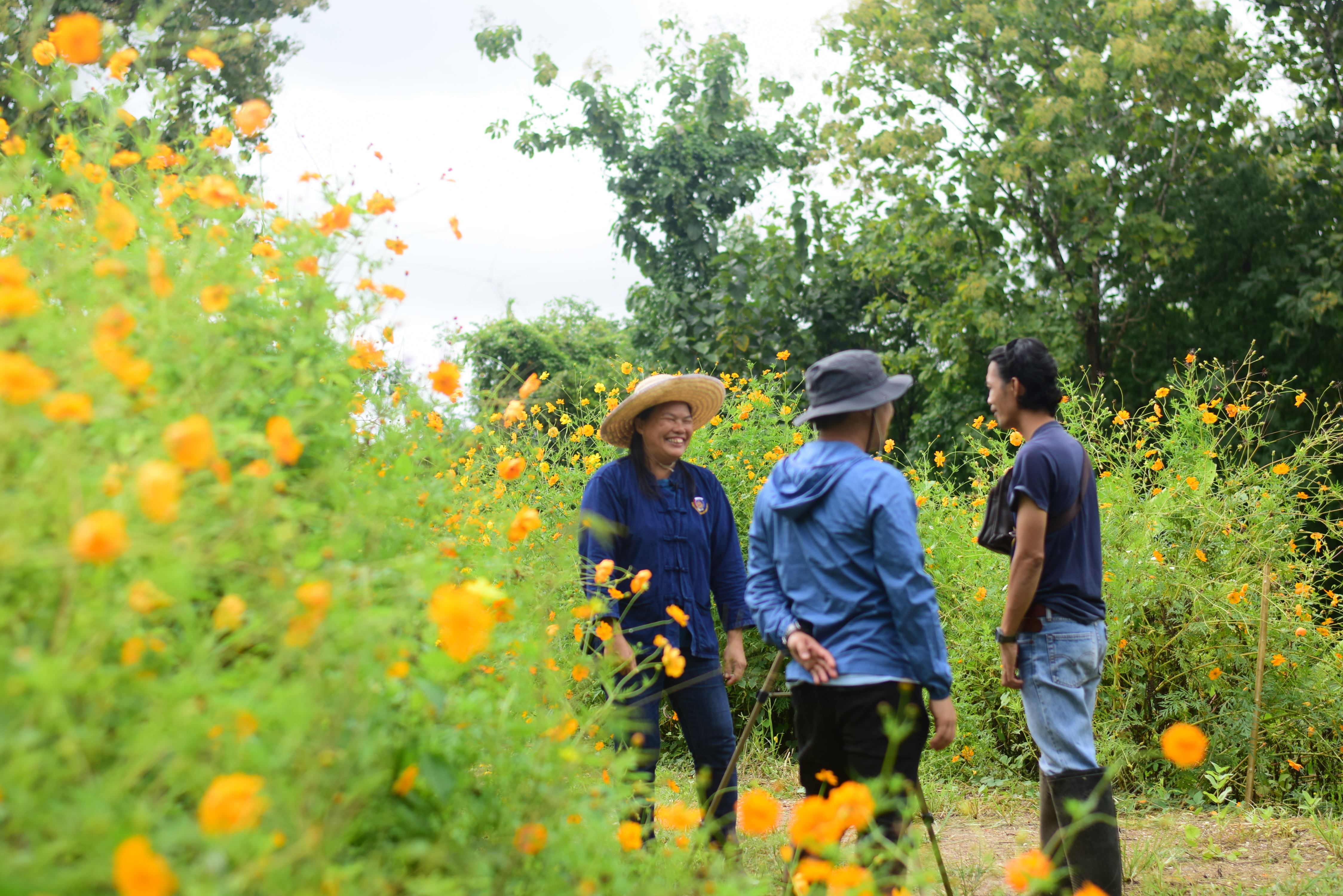 @ที่นี่เมืองน่าน@ พช.น่าน ติดตามการดำเนินงานโครงการพัฒนาพื้นที่ต้นแบบการพัฒนาคุณภาพชีวิตตามหลักทฤษฎีใหม่ ประยุกต์สู่ “โคก หนอง นา โมเดล” การสร้างภาพลักษณ์กรมการพัฒนาชุมชนด้วยการประชาสัมพันธ์ผ่านสื่อออนไลน์
