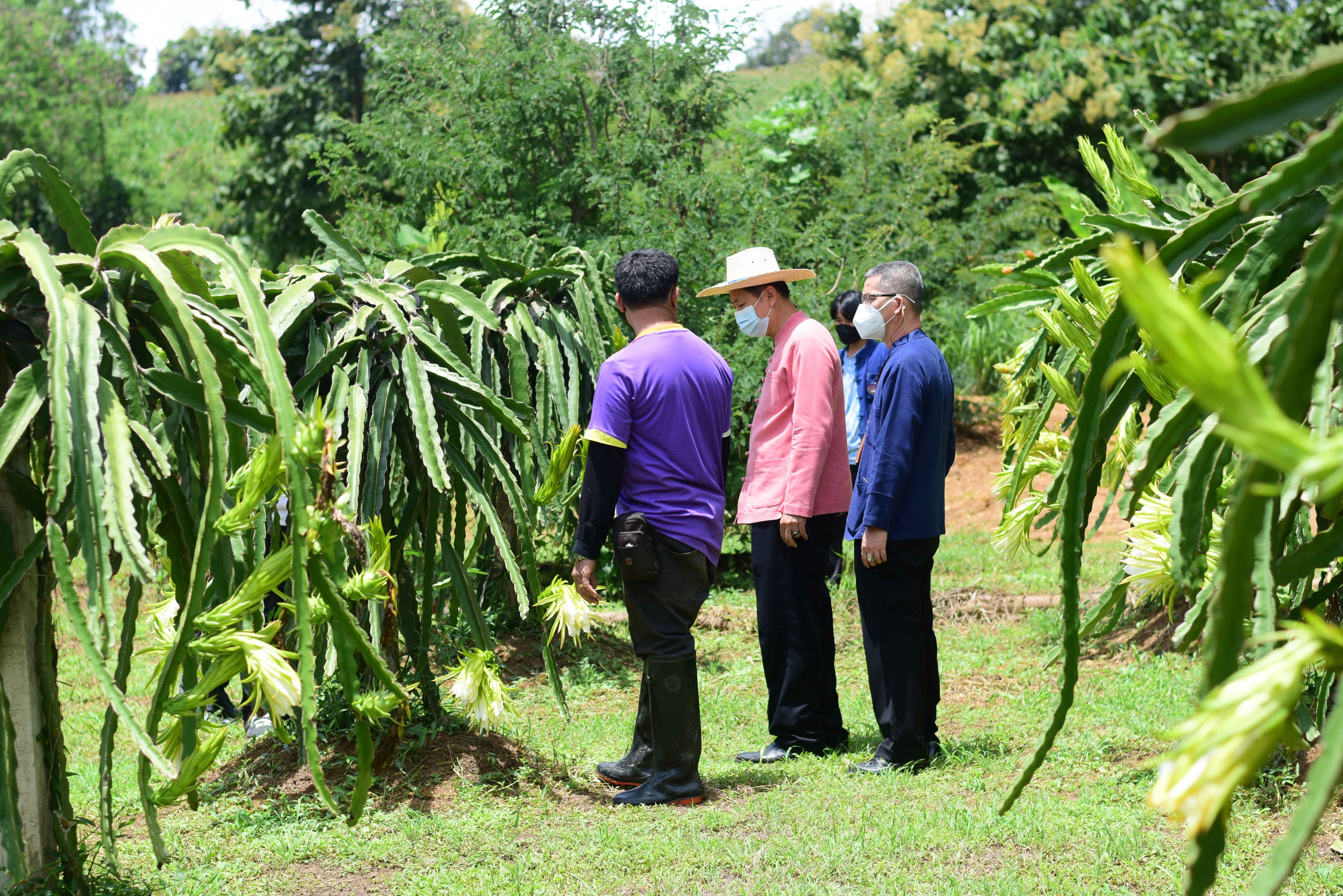 ติดตามโครงการพัฒนาพื้นที่ต้นแบบการพัฒนาคุณภาพชีวิตตามหลักทฤษฎีใหม่  ประยุกต์สู่ โคก หนอง นาโมเดล อำเภอนาน้อย