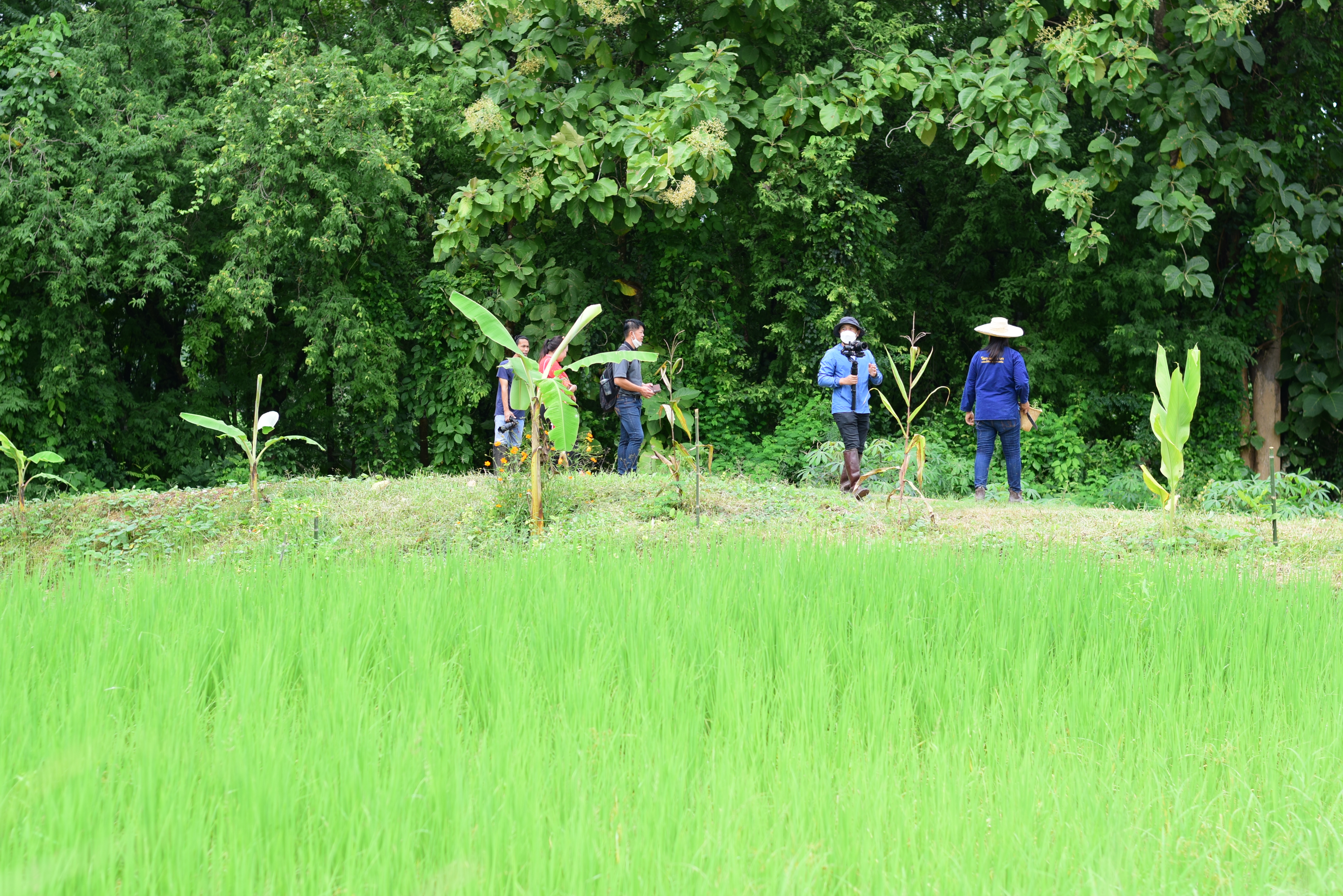 @ที่นี่เมืองน่าน@ พช.น่าน ติดตามการดำเนินงานโครงการพัฒนาพื้นที่ต้นแบบการพัฒนาคุณภาพชีวิตตามหลักทฤษฎีใหม่ ประยุกต์สู่ “โคก หนอง นา โมเดล” การสร้างภาพลักษณ์กรมการพัฒนาชุมชนด้วยการประชาสัมพันธ์ผ่านสื่อออนไลน์