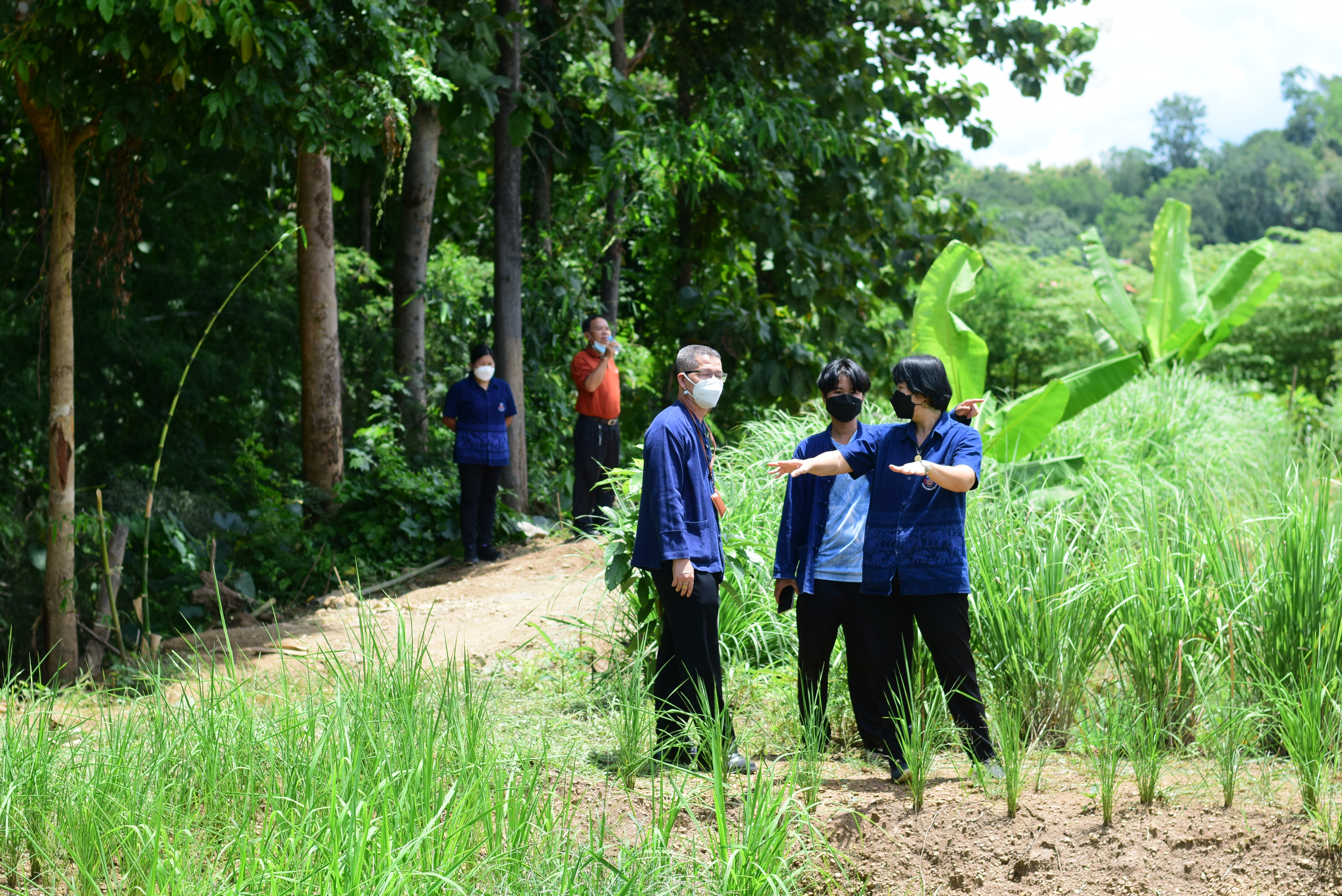 ติดตามโครงการพัฒนาพื้นที่ต้นแบบการพัฒนาคุณภาพชีวิตตามหลักทฤษฎีใหม่  ประยุกต์สู่ โคก หนอง นาโมเดล อำเภอนาน้อย