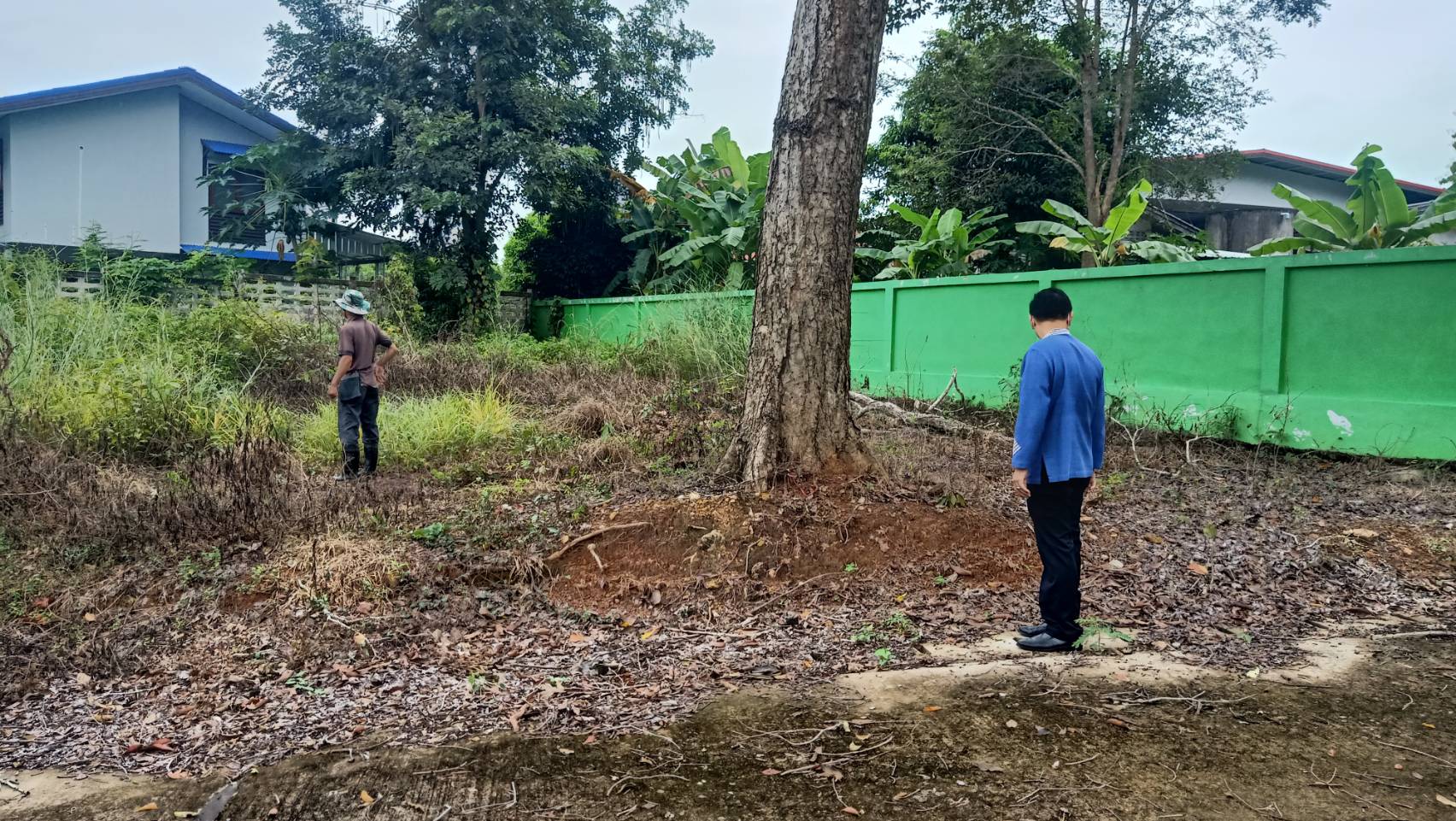 @ที่นี่เมืองน่าน@ พช.น่าน เตรียมพื้นที่จัดกิจกรรมวันรักต้นไม้ประจำปีของชาติ พ.ศ.2564