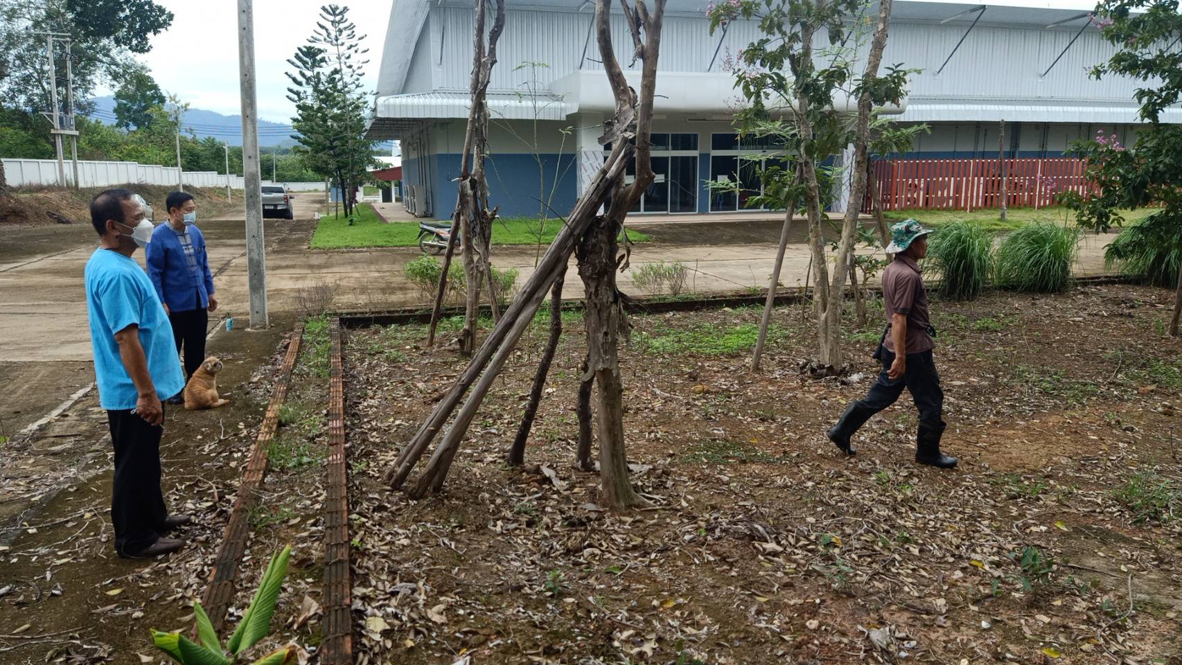 @ที่นี่เมืองน่าน@ พช.น่าน เตรียมพื้นที่จัดกิจกรรมวันรักต้นไม้ประจำปีของชาติ พ.ศ.2564