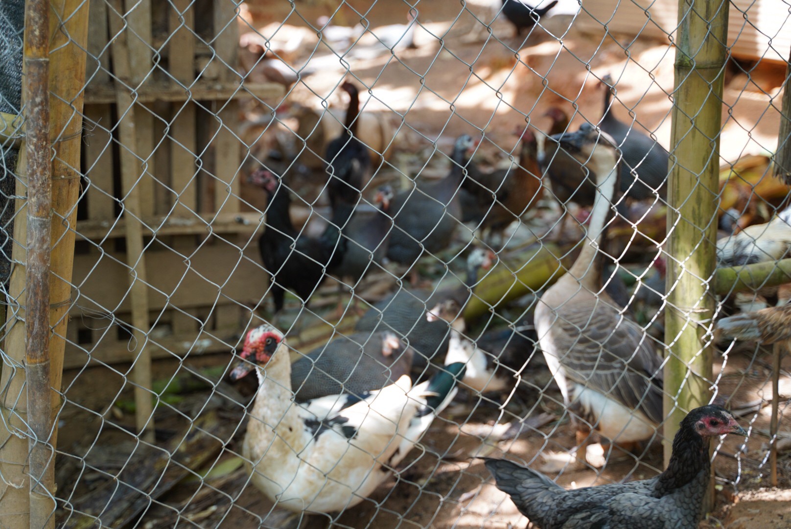 @ที่นี่เมืองน่าน@ พช.น่าน ติดตามสนับสนุนการดำเนินงานตามแผนปฏิบัติราชการกรมการพัฒนาชุมชน