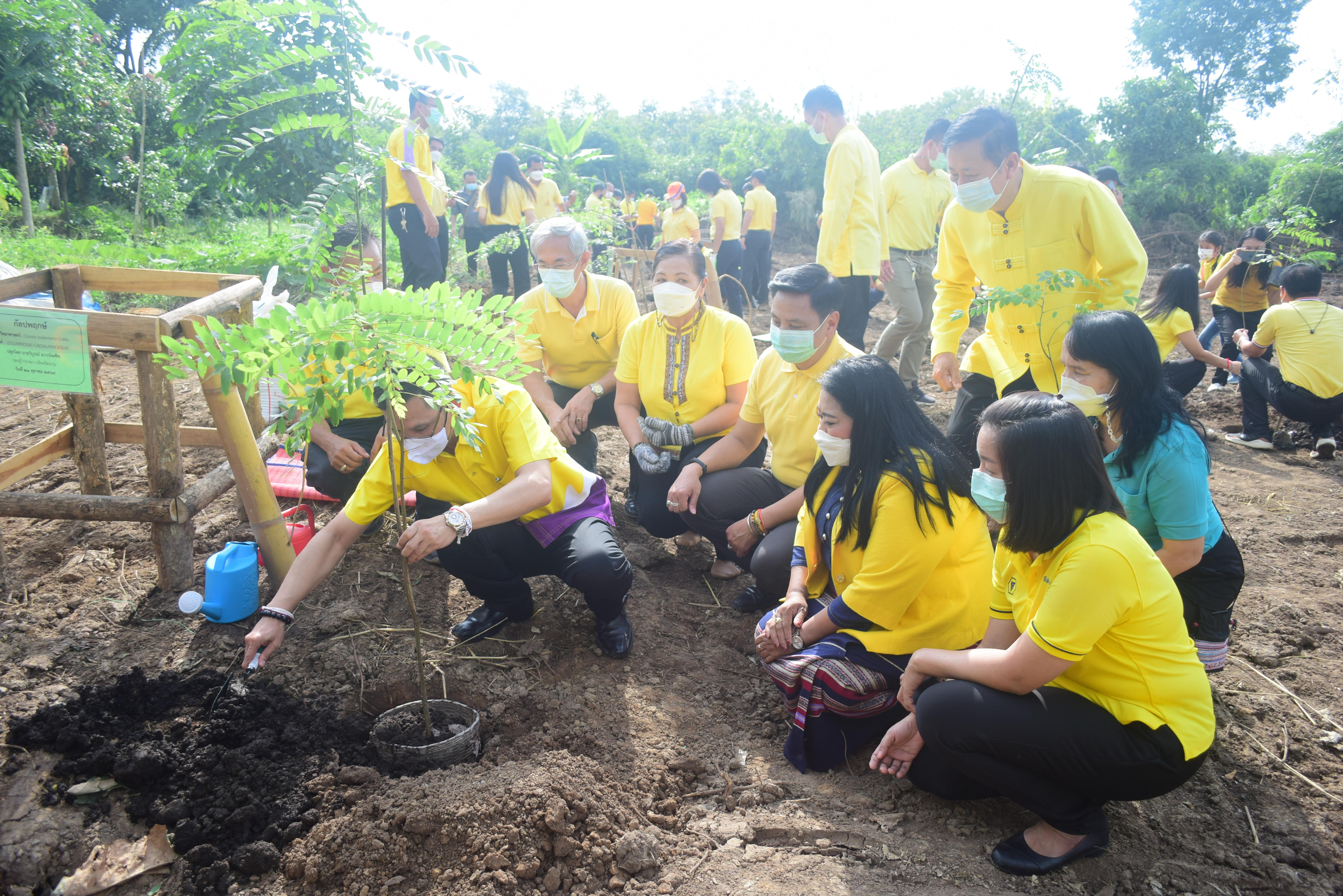 @ที่นี่เมืองน่าน @จังหวัดน่าน จัดกิจกรรมปลูกต้นไม้ เนื่องในวันรักต้นไม้ประจำปีของชาติ ประจำปี 2564 เพื่อน้อมรำลึกถึงพระมหากรุณาธิคุณ สมเด็จพระศรีนครินทราบรมราชชนนี