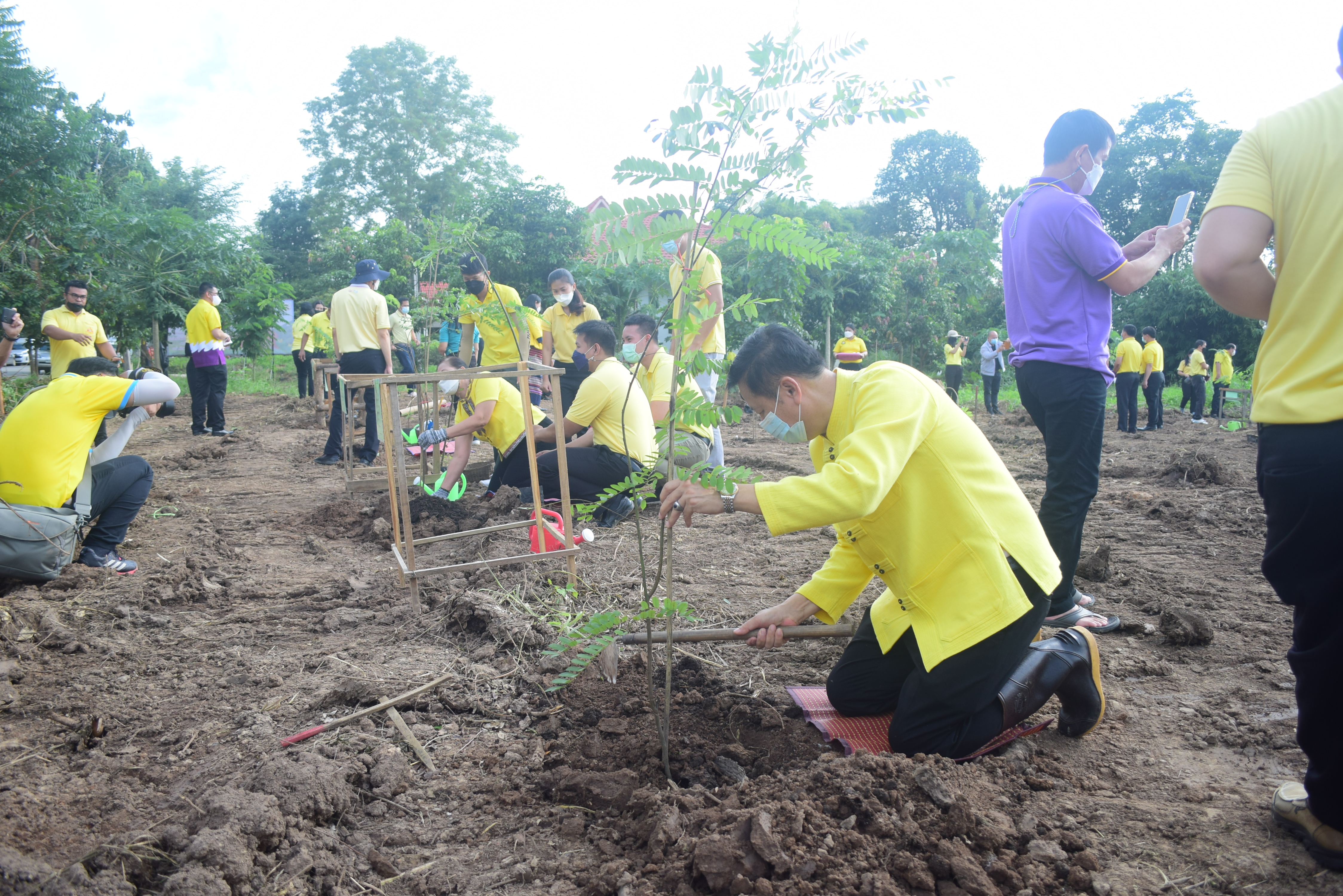 @ที่นี่เมืองน่าน @จังหวัดน่าน จัดกิจกรรมปลูกต้นไม้ เนื่องในวันรักต้นไม้ประจำปีของชาติ ประจำปี 2564 เพื่อน้อมรำลึกถึงพระมหากรุณาธิคุณ สมเด็จพระศรีนครินทราบรมราชชนนี