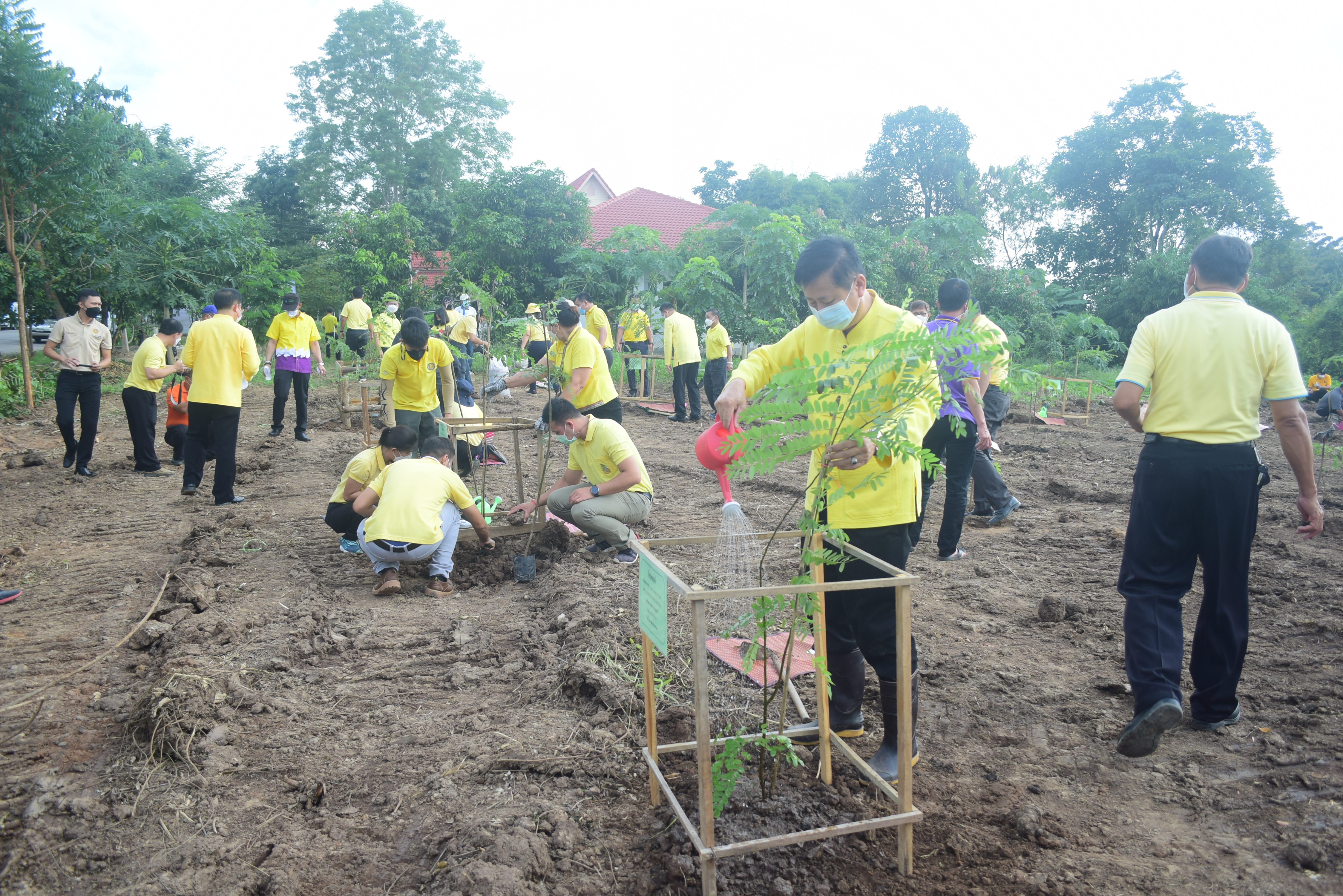 @ที่นี่เมืองน่าน @จังหวัดน่าน จัดกิจกรรมปลูกต้นไม้ เนื่องในวันรักต้นไม้ประจำปีของชาติ ประจำปี 2564 เพื่อน้อมรำลึกถึงพระมหากรุณาธิคุณ สมเด็จพระศรีนครินทราบรมราชชนนี