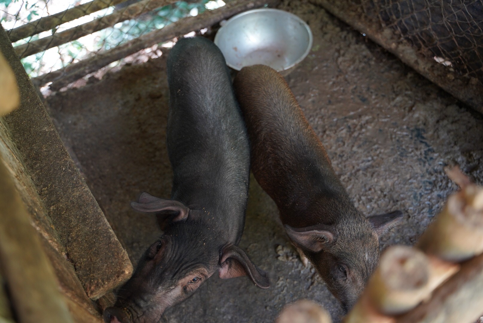 @ที่นี่เมืองน่าน@ พช.น่าน ติดตามสนับสนุนการดำเนินงานตามแผนปฏิบัติราชการกรมการพัฒนาชุมชน