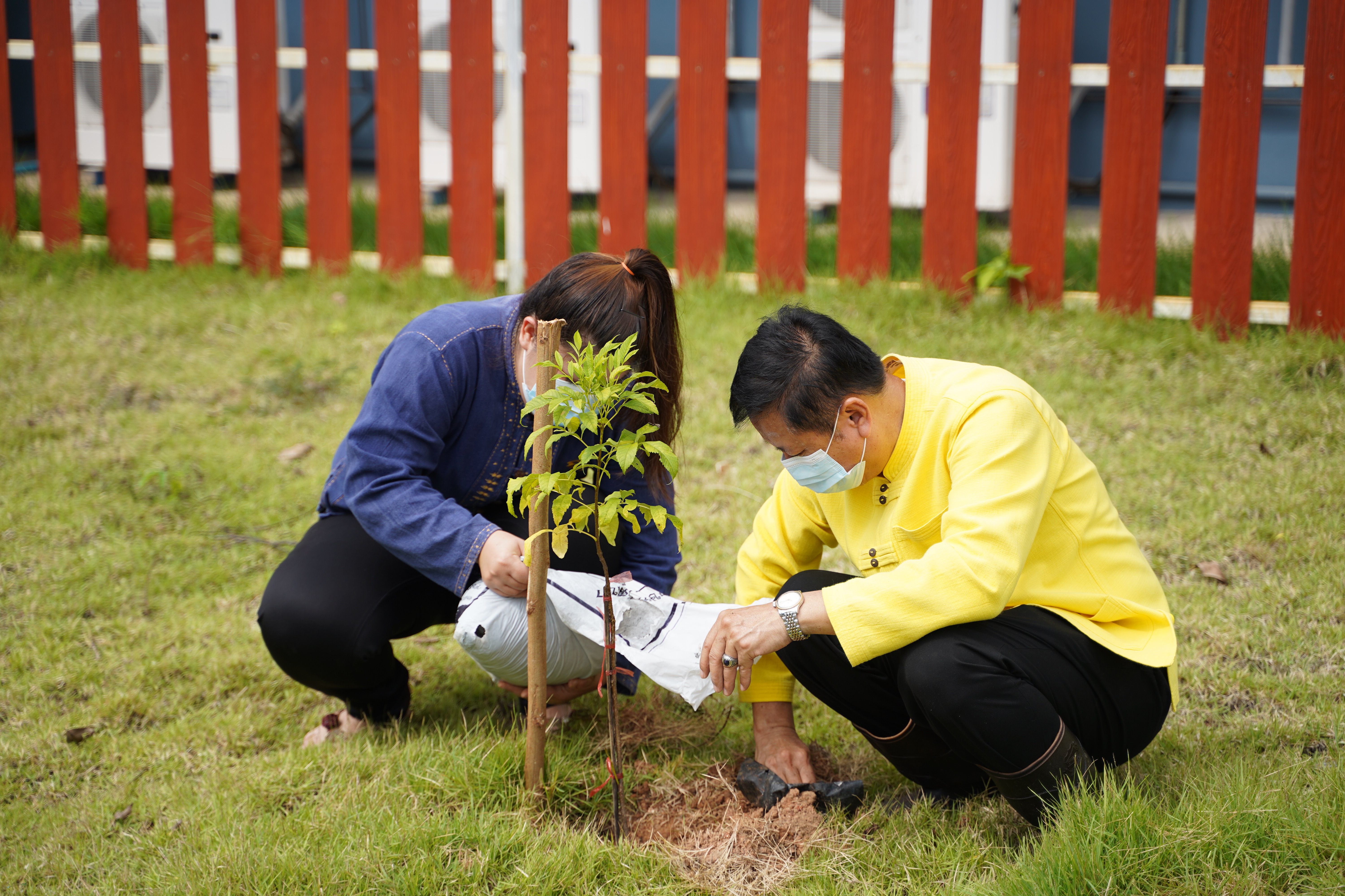 @ที่นี่เมืองน่าน@ พช.น่าน ร่วมปลูกต้นไม้ เนื่องในวันรักต้นไม้ประจำปีของชาติ ประจำปี 2564