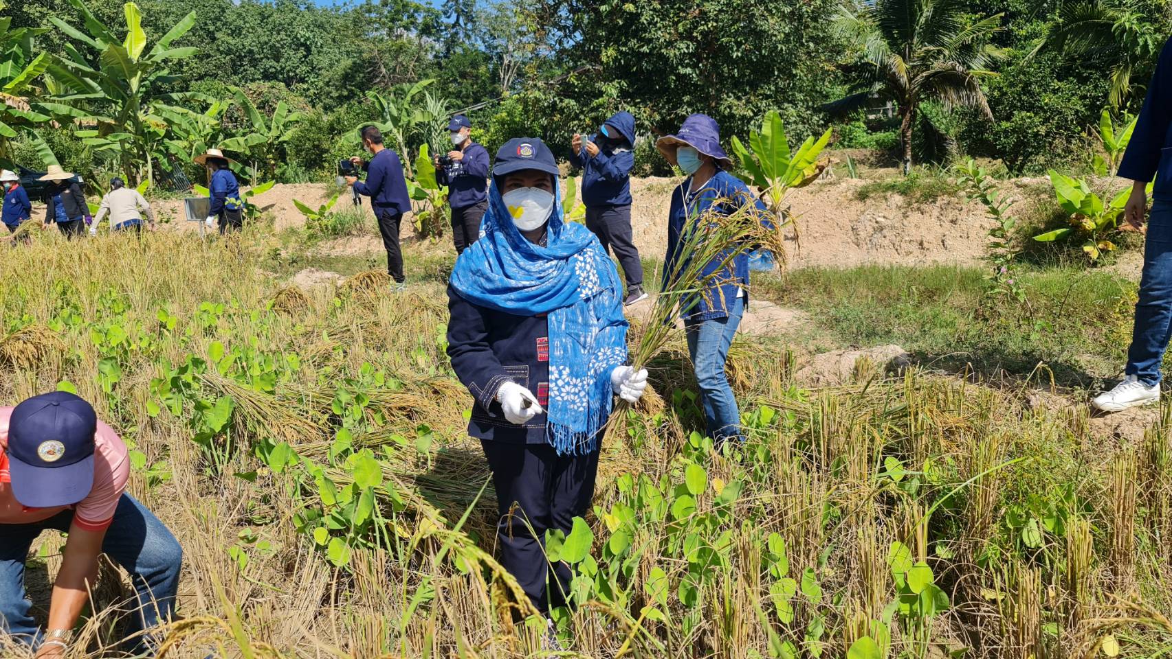 @ที่นี่เมืองน่าน@ พช.น่าน เอามื้อสามัคคีตามโครงการพัฒนาพื้นที่ต้นแบบการพัฒนาคุณภาพชีวิตตามหลักทฤษฏีใหม่ ประยุกต์สู่ “โคก หนอง นา โมเดล”
