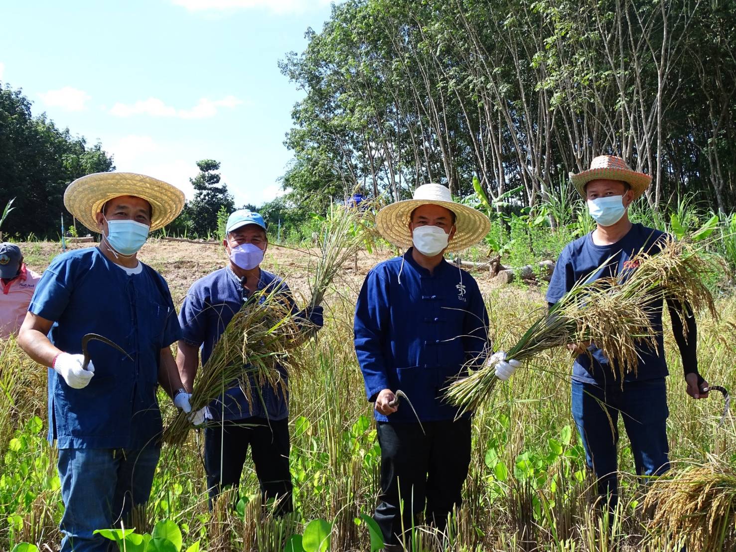 @ที่นี่เมืองน่าน@ พช.น่าน เอามื้อสามัคคีตามโครงการพัฒนาพื้นที่ต้นแบบการพัฒนาคุณภาพชีวิตตามหลักทฤษฏีใหม่ ประยุกต์สู่ “โคก หนอง นา โมเดล”