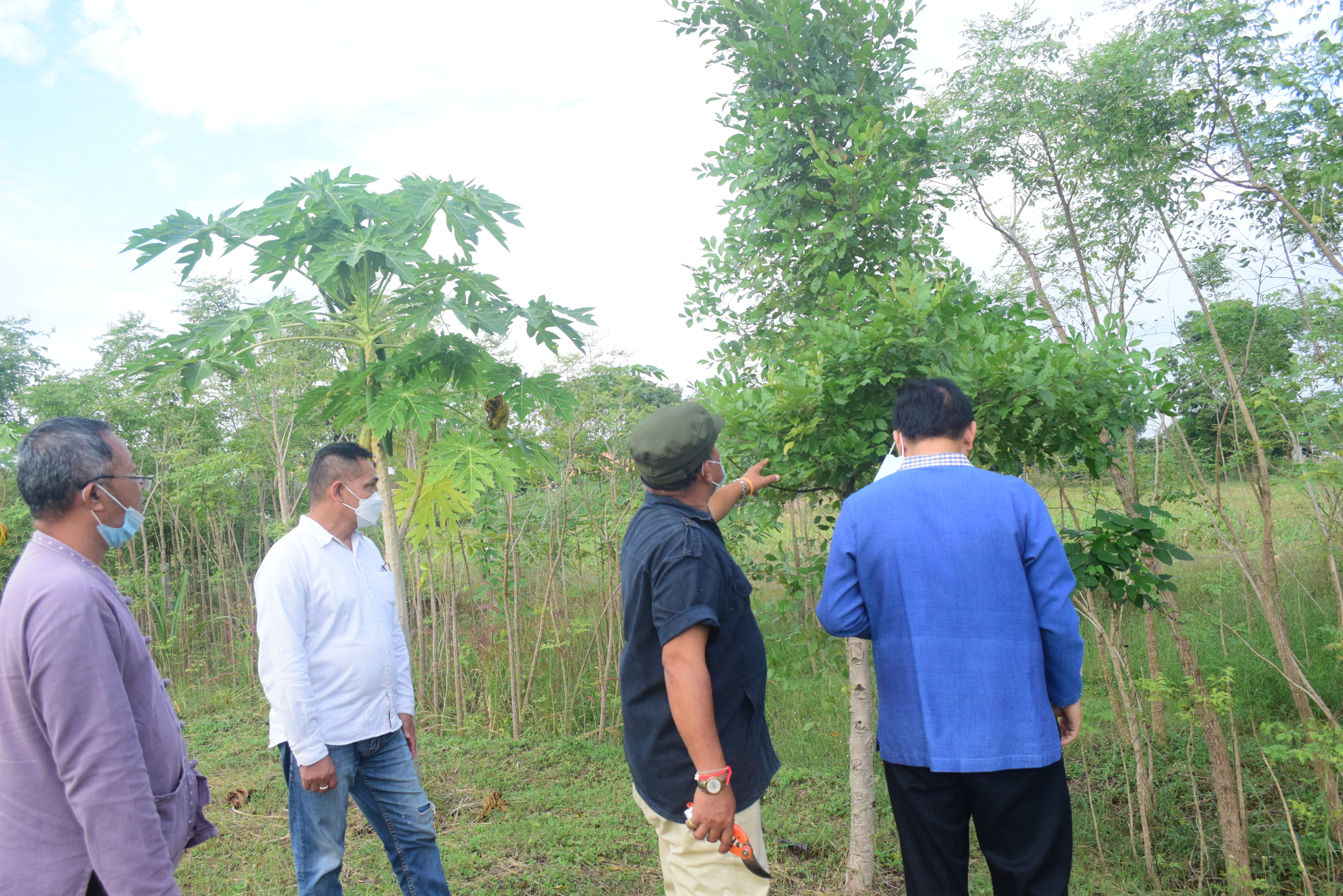 @ที่นี่เมืองน่าน@ พช.น่าน ศึกษาดูงานโครงการพัฒนาพื้นที่ต้นแบบการพัฒนาคุณภาพชีวิตตามหลักทฤษีใหม่ ประยุกต์สู่ โคก หนอง นาโมเดล