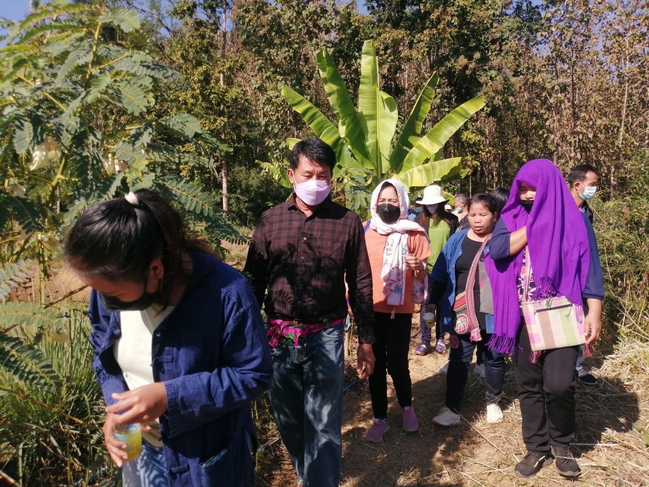 @ที่นี่เมืองน่าน@ พช.น่าน พัฒนาศักยภาพเครือข่ายผู้ผลิตเกษตรอินทรีย์ ประชุมเชิงปฏิบัติการเพิ่มศักยภาพเครือข่ายผู้ผลิตเกษตรอินทรีย์ระดับจังหวัด